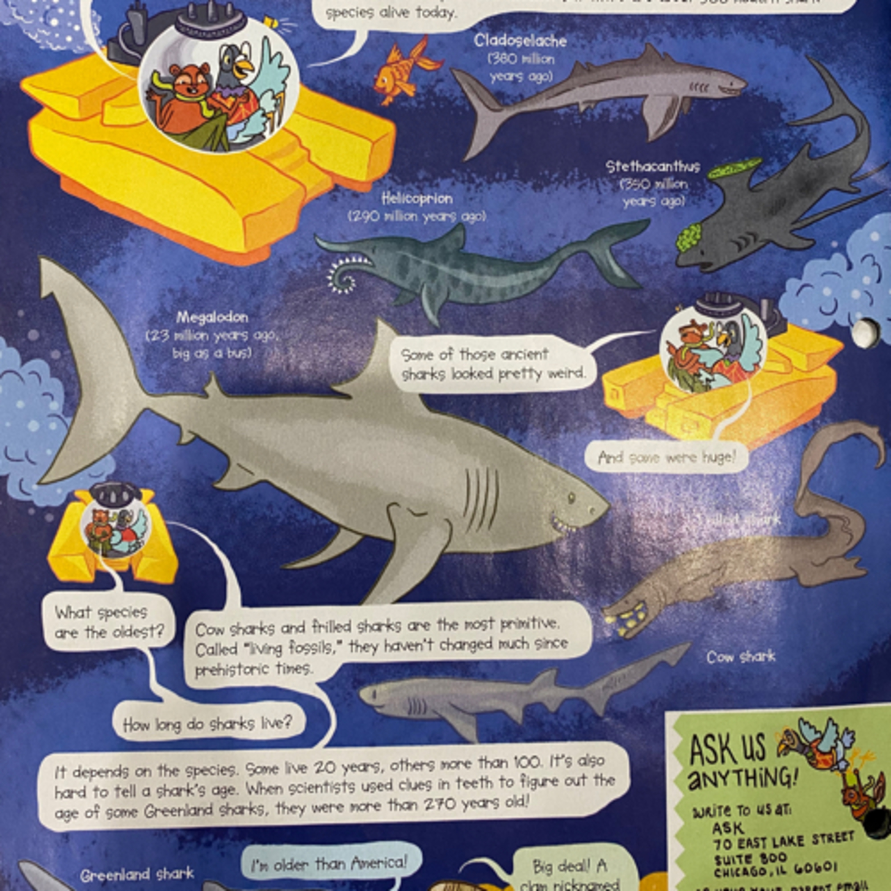 Episode #1: Sharks