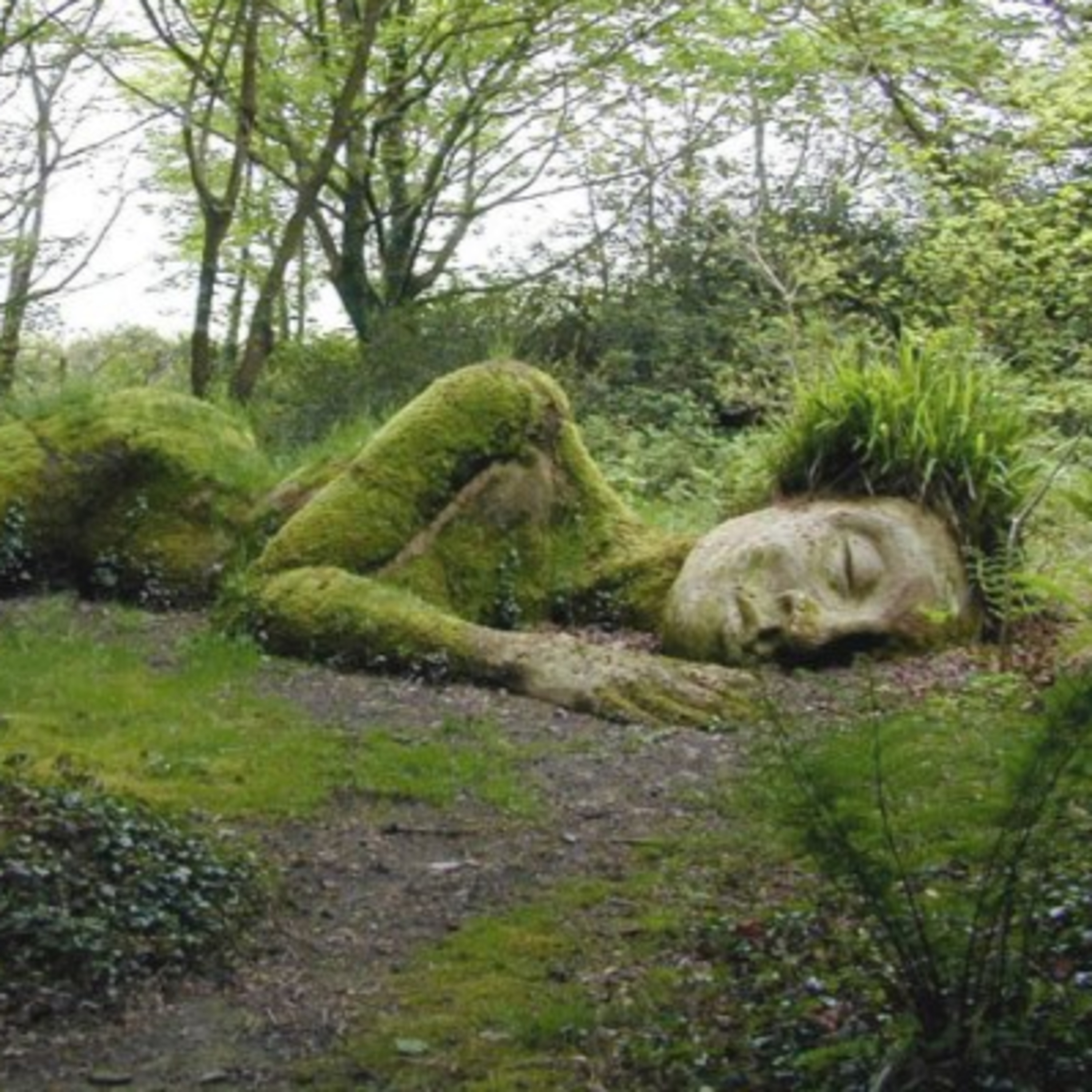 Hippiecritical: New Age Trends, Alternative Health and Hippie Lifestyles
