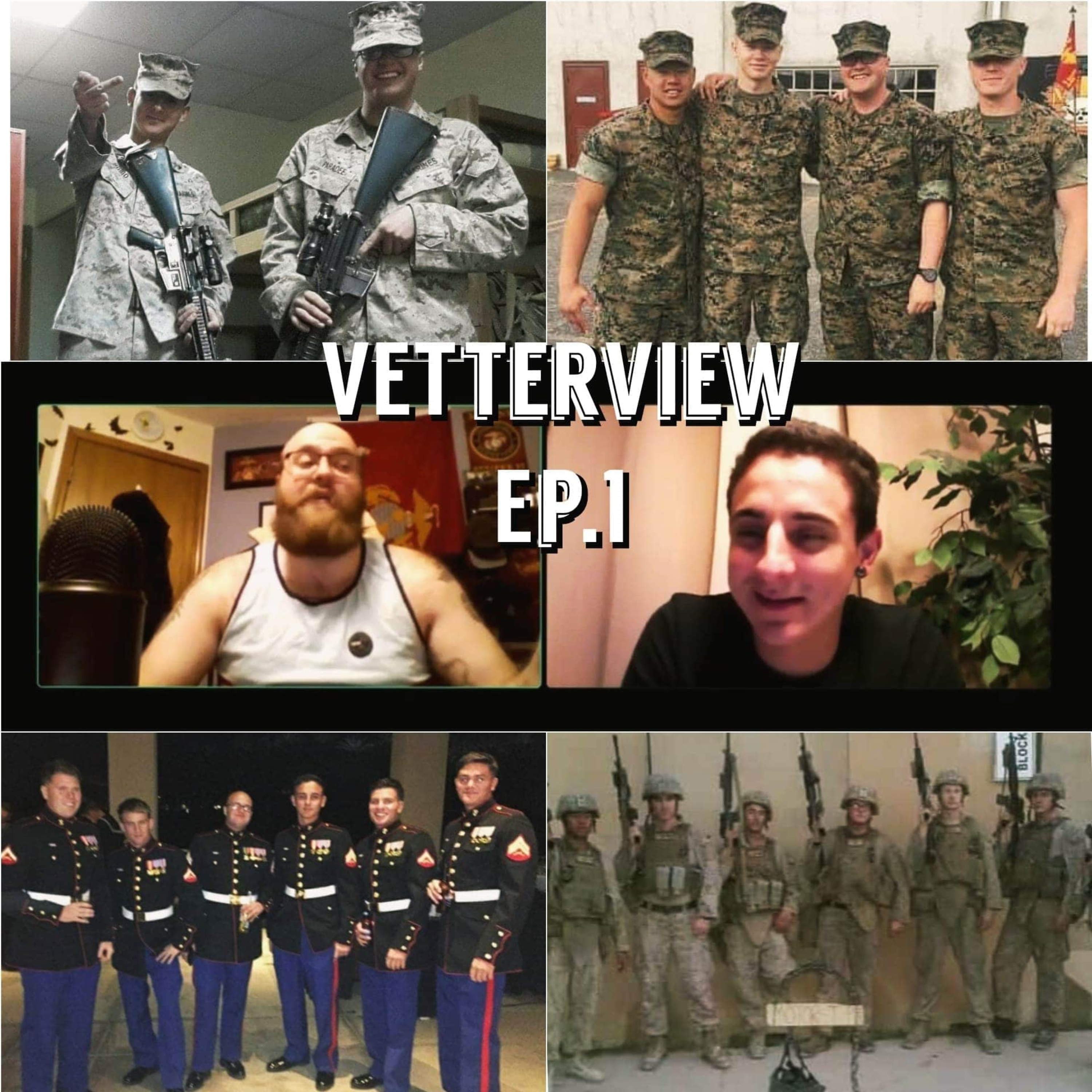 VetterView