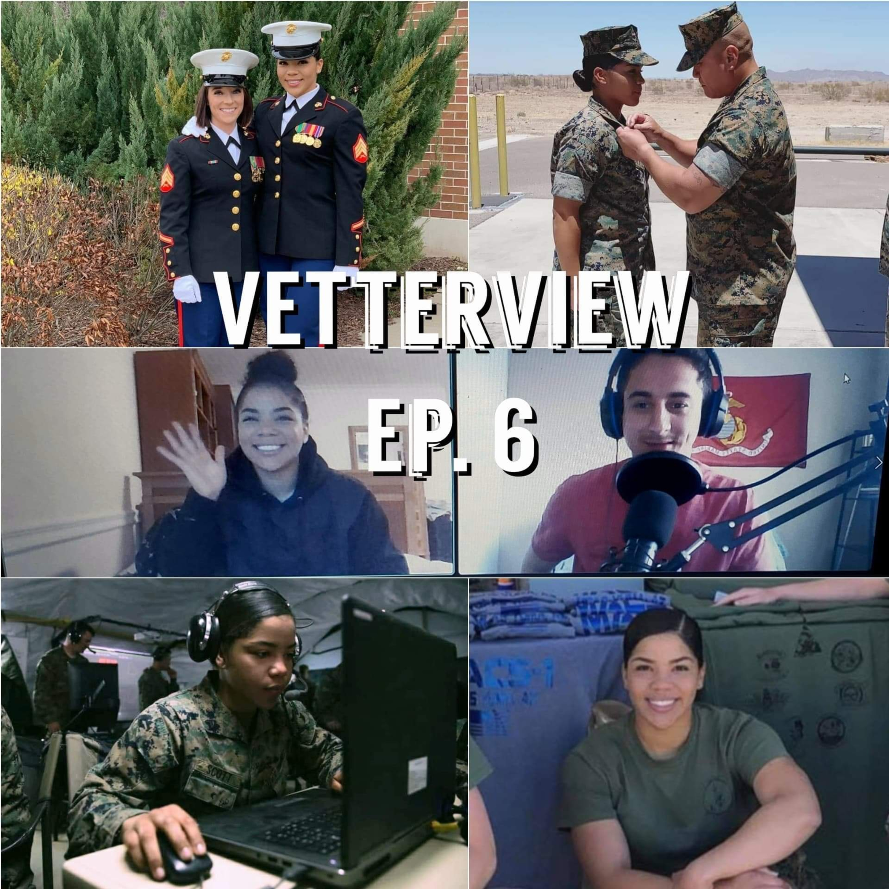 VetterView