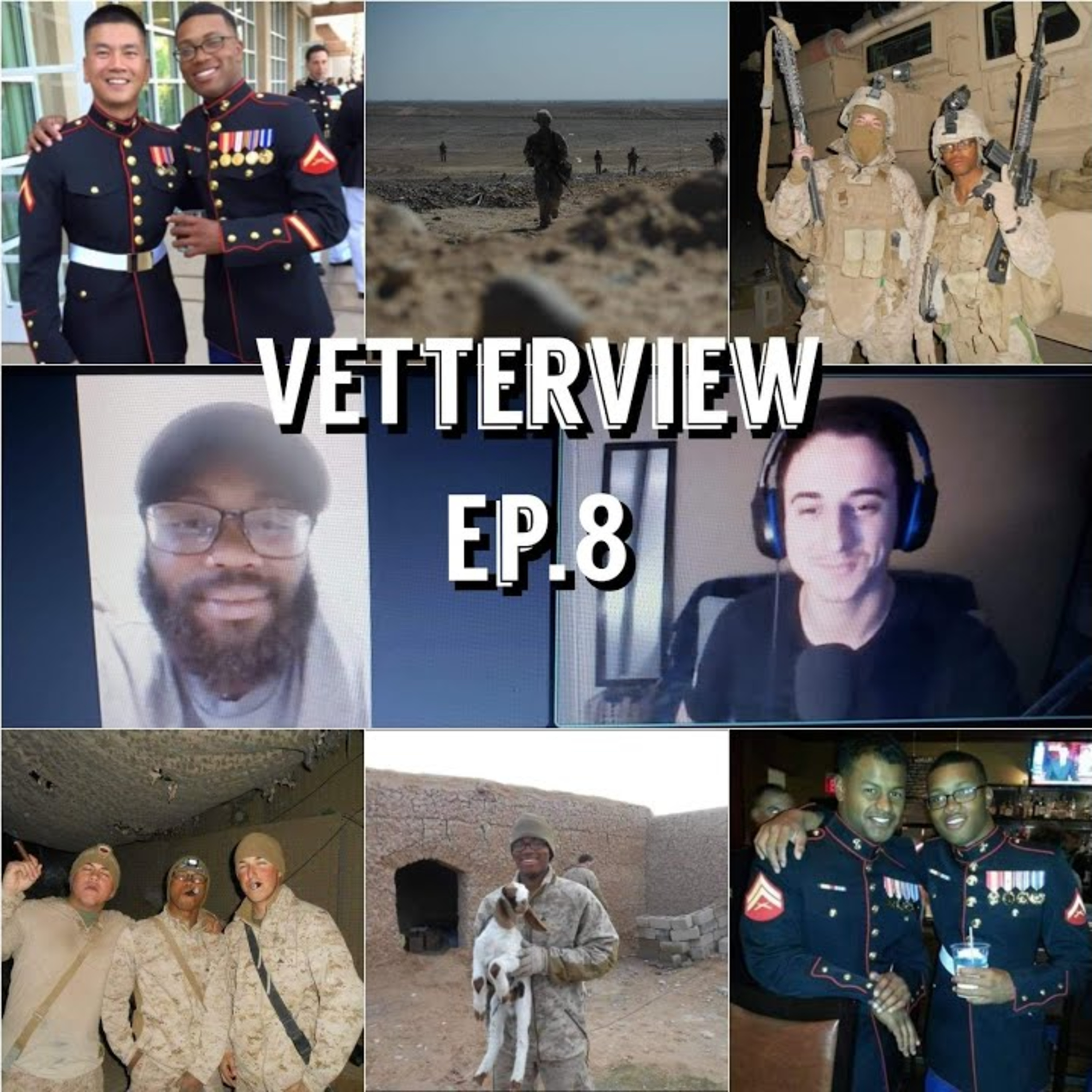 VetterView
