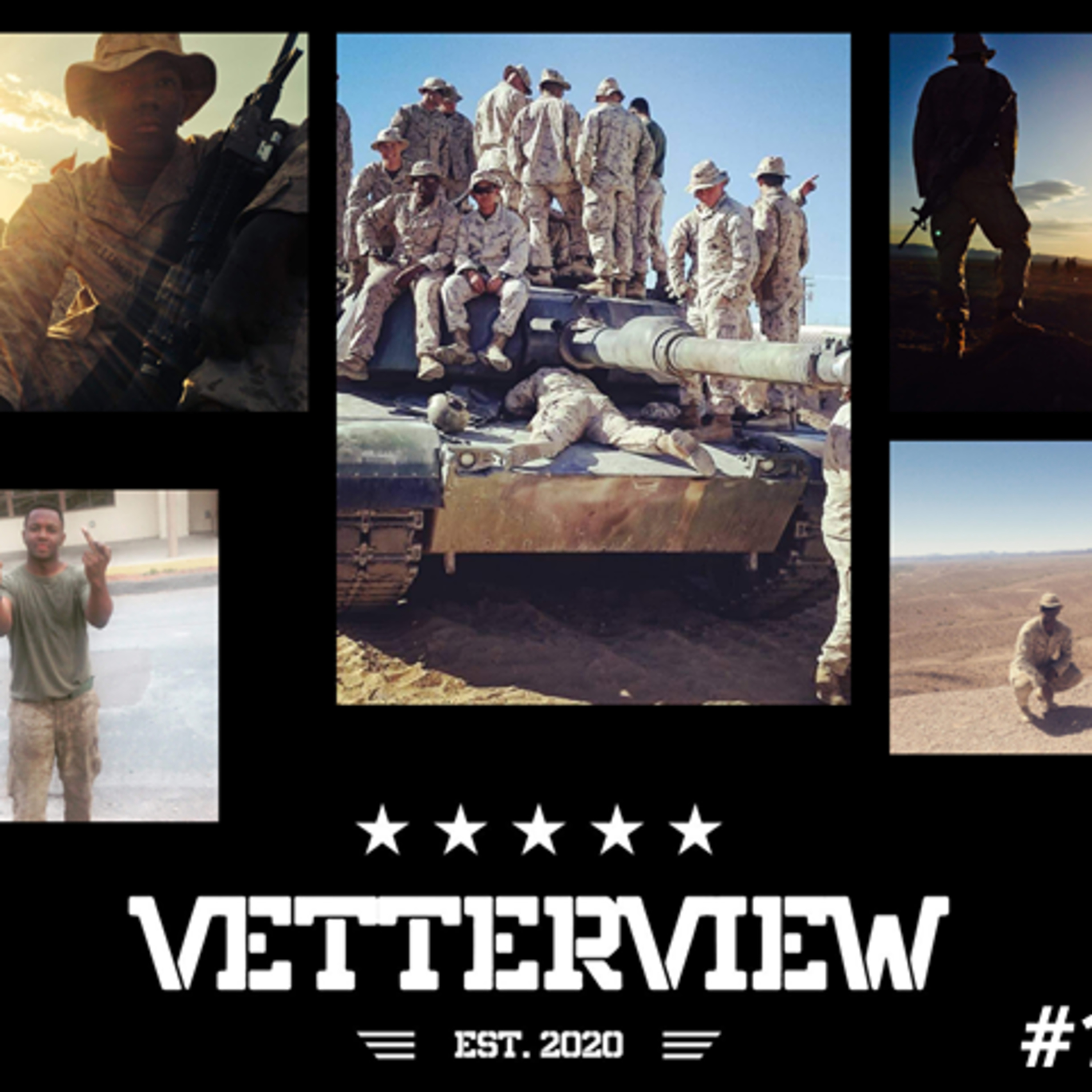 VetterView