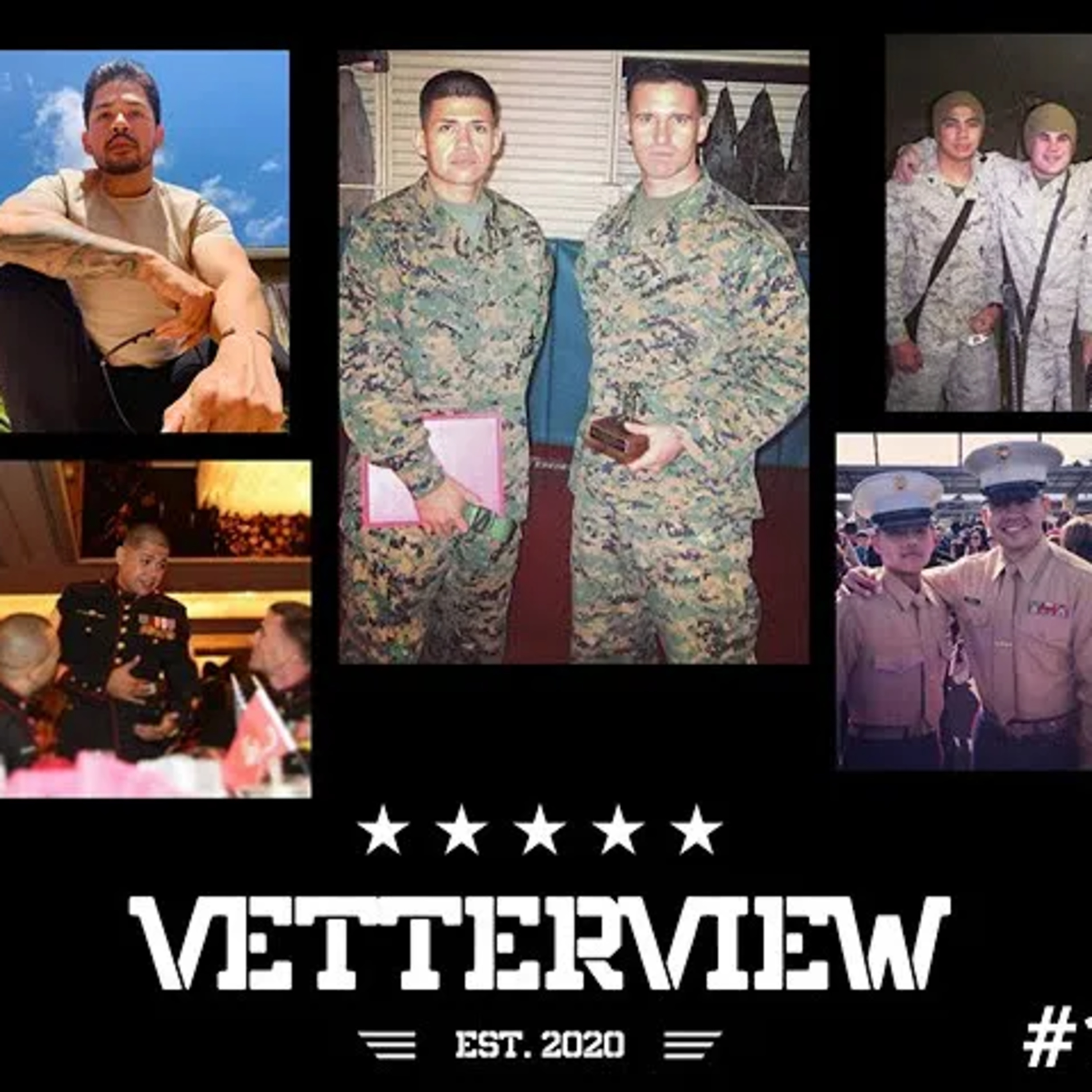 VetterView