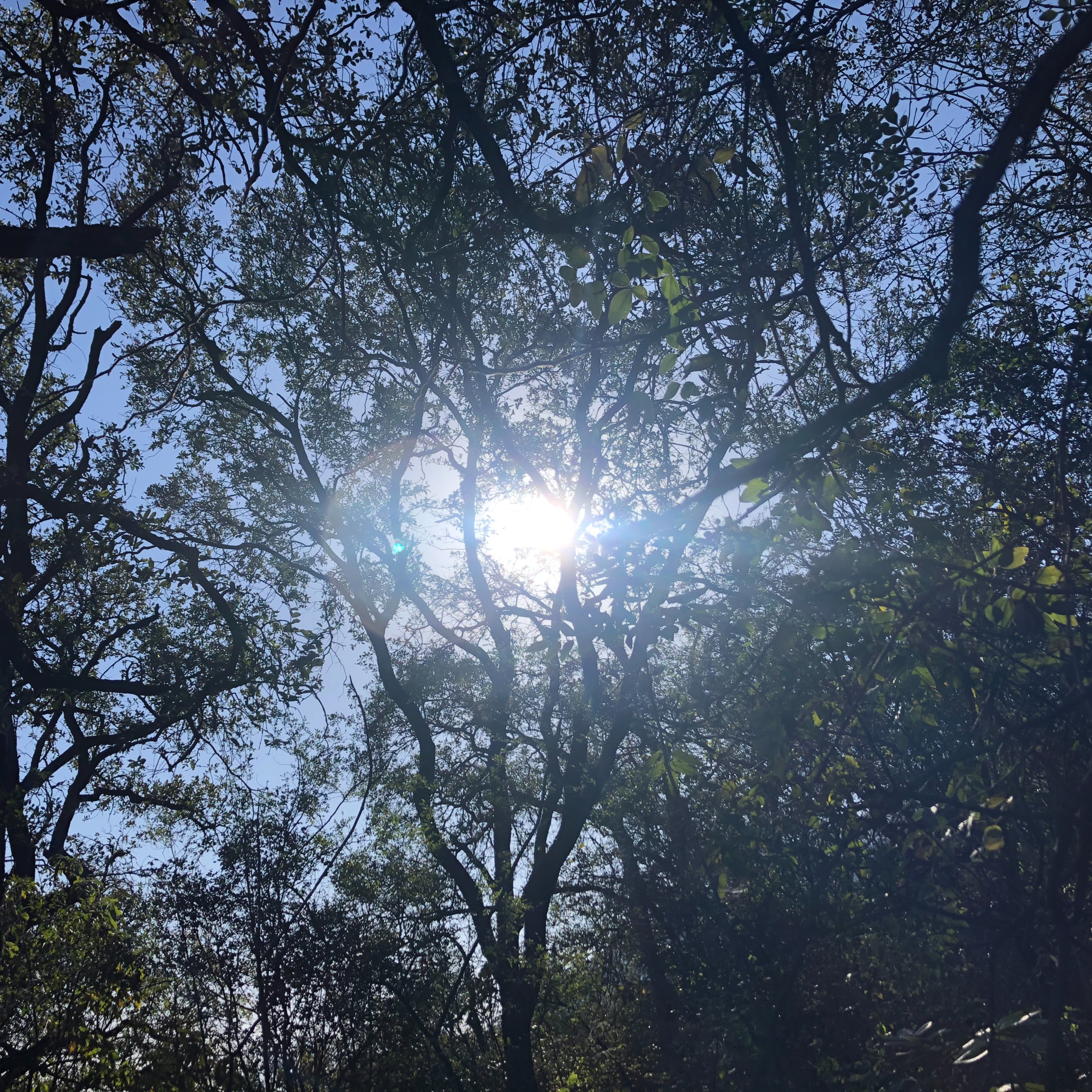 Inhalo Profundo, Exhalo Suave