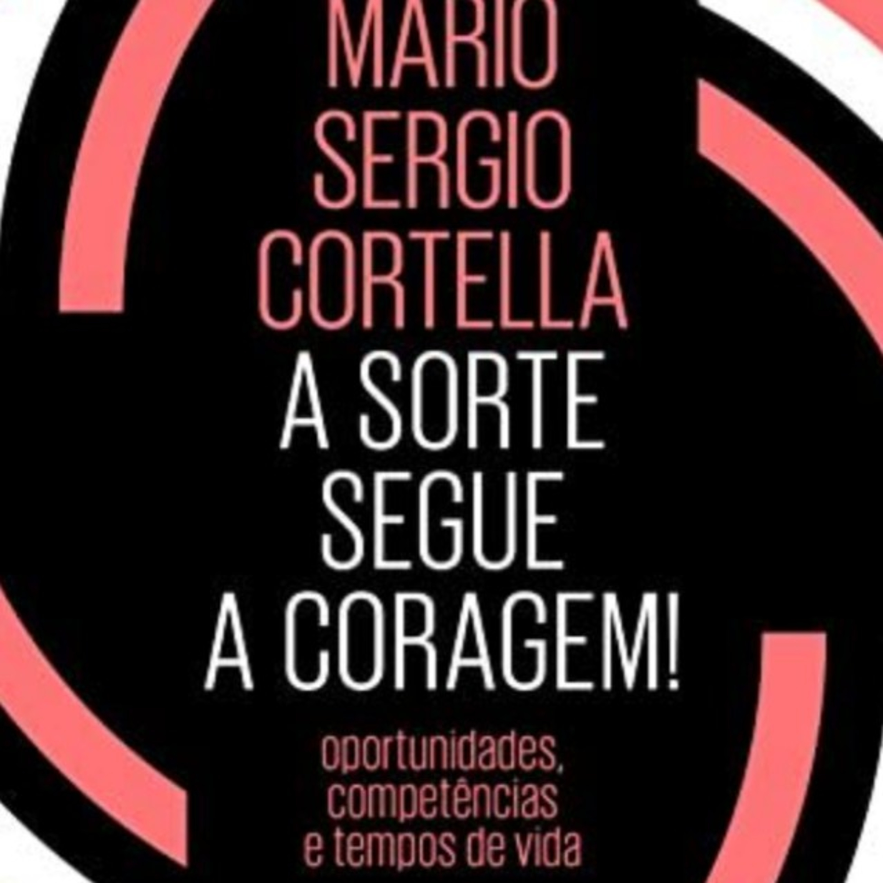 08. A Sorte segue a Coragem. Cap 07 - A hora é agora! episode artwork