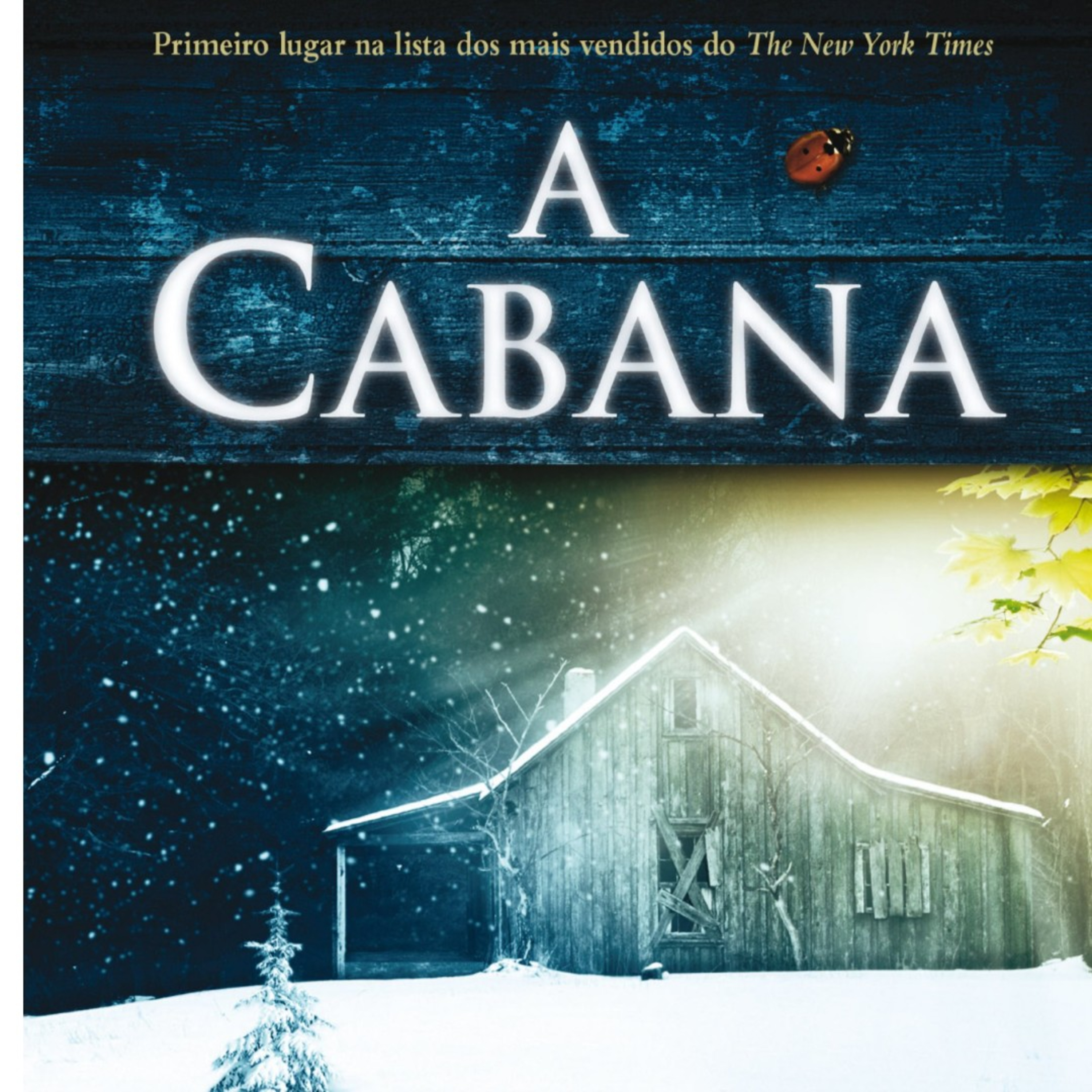 08. A Cabana. Cap 05 - Adivinha quem vem para jantar. Parte 1 episode artwork