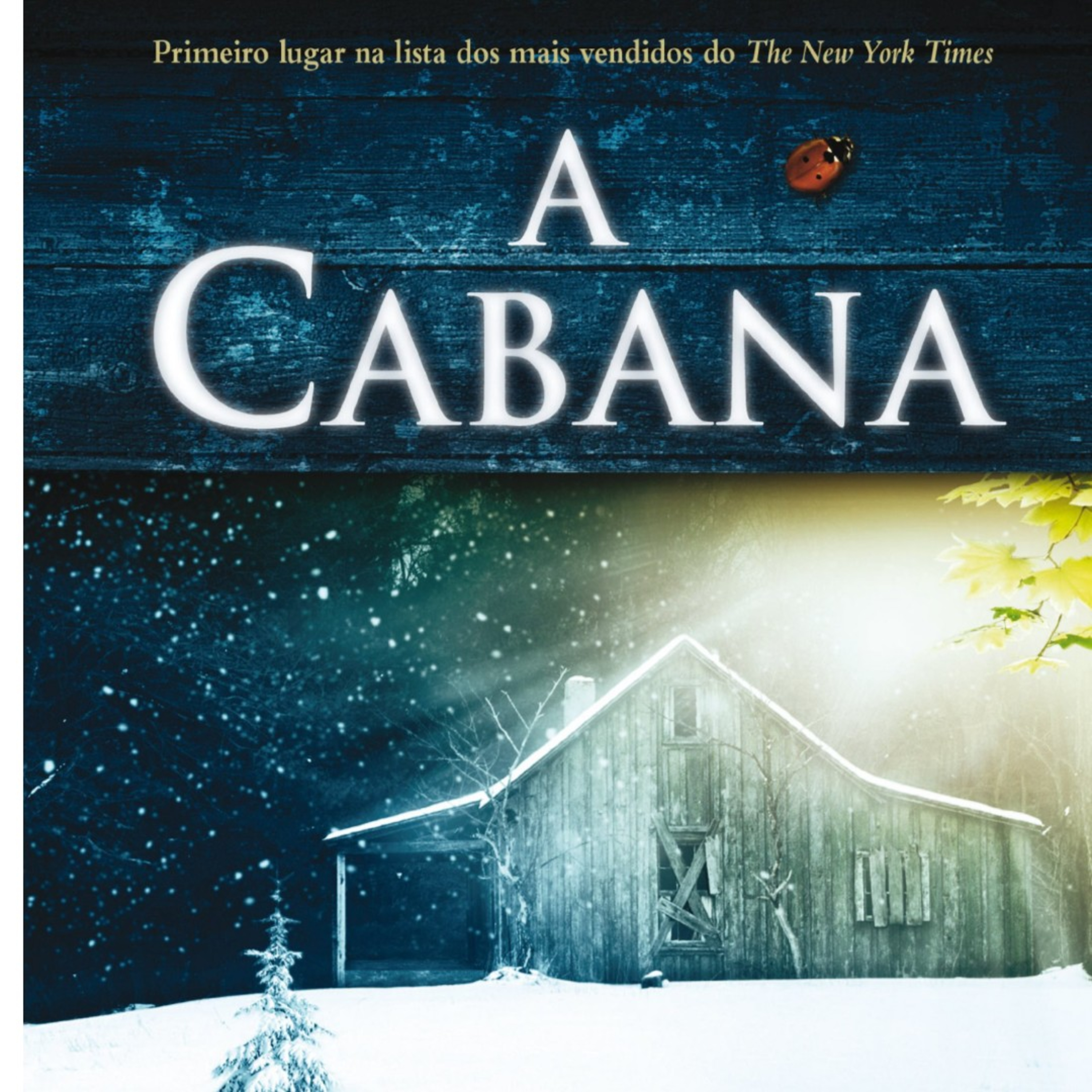 09. A Cabana. Cap 05 - Adivinhe quem vem para o jantar . Parte 2 episode artwork