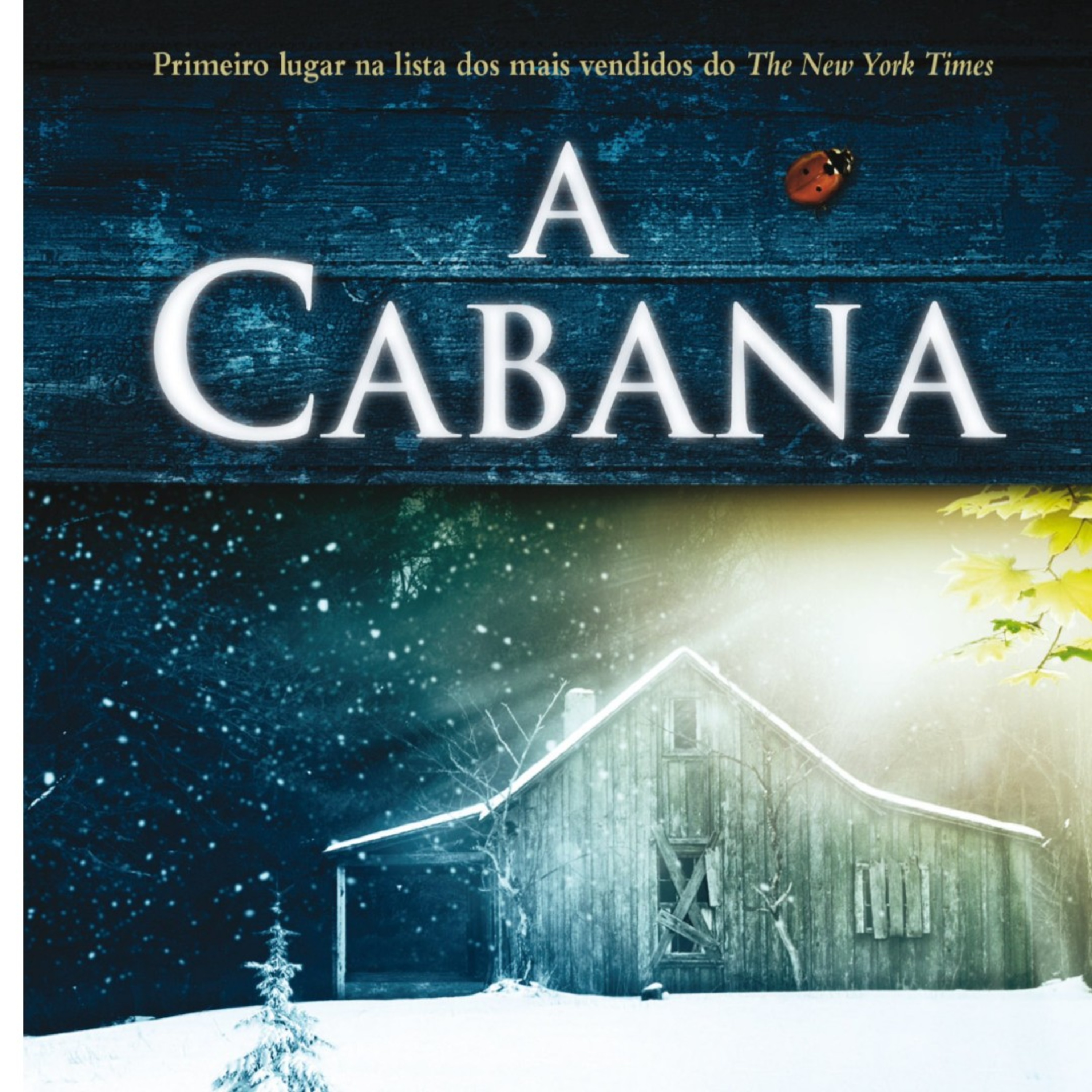 10. A Cabana. Cap 06 - Aula de Vôo. Parte 1. episode artwork