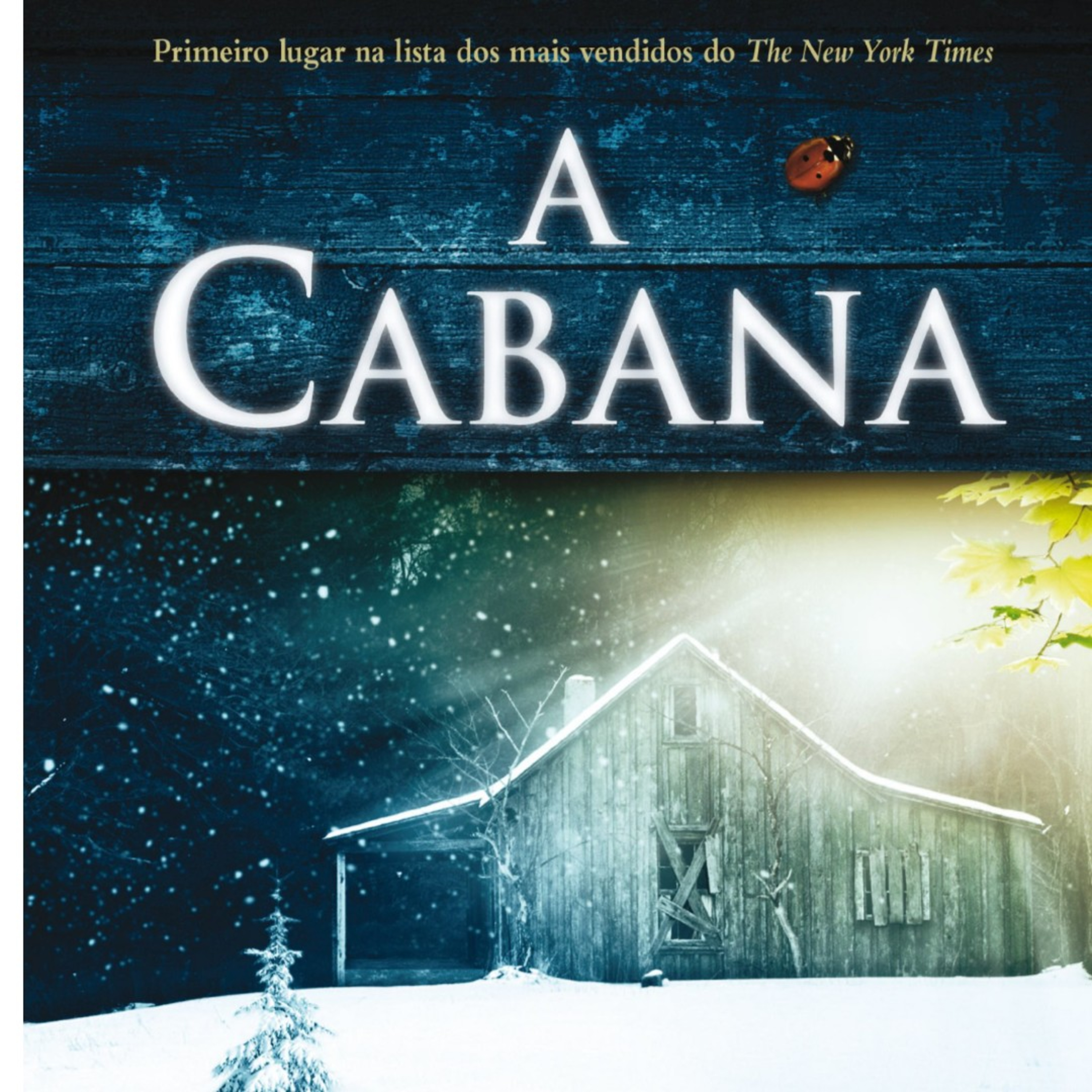 17. A Cabana. Cap 11 - Olha o juiz aí, gente! Parte 2 episode artwork