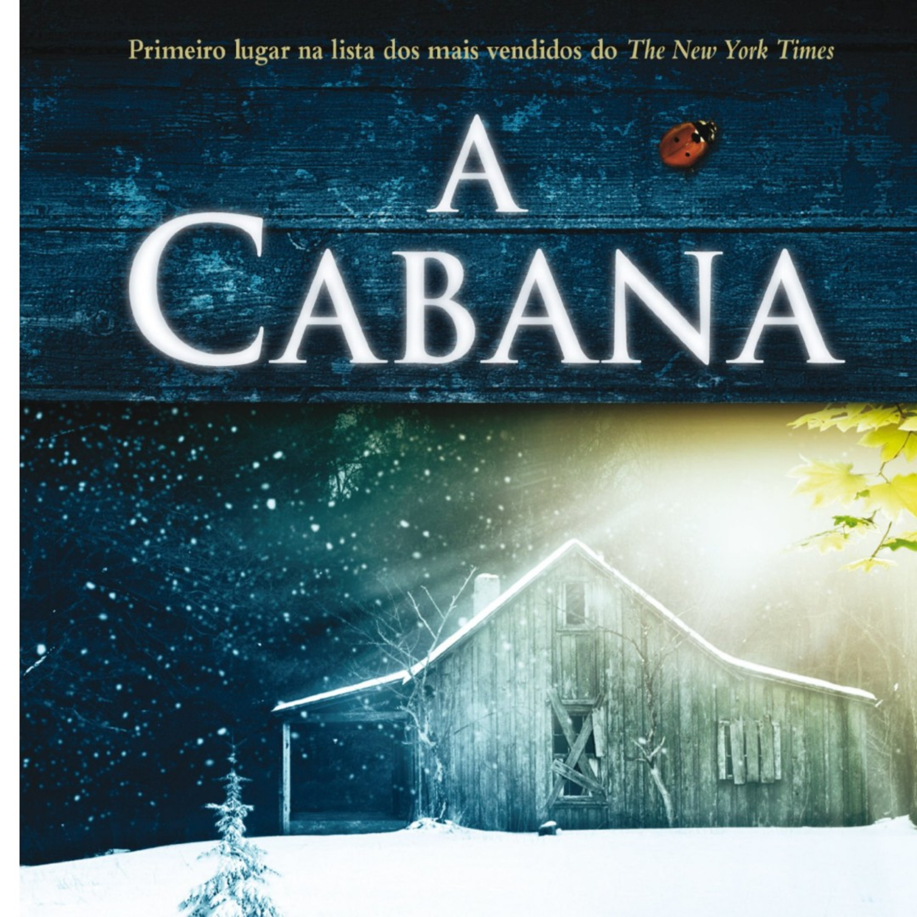 19. A Cabana. Cap 13 - Um encontro de corações episode artwork