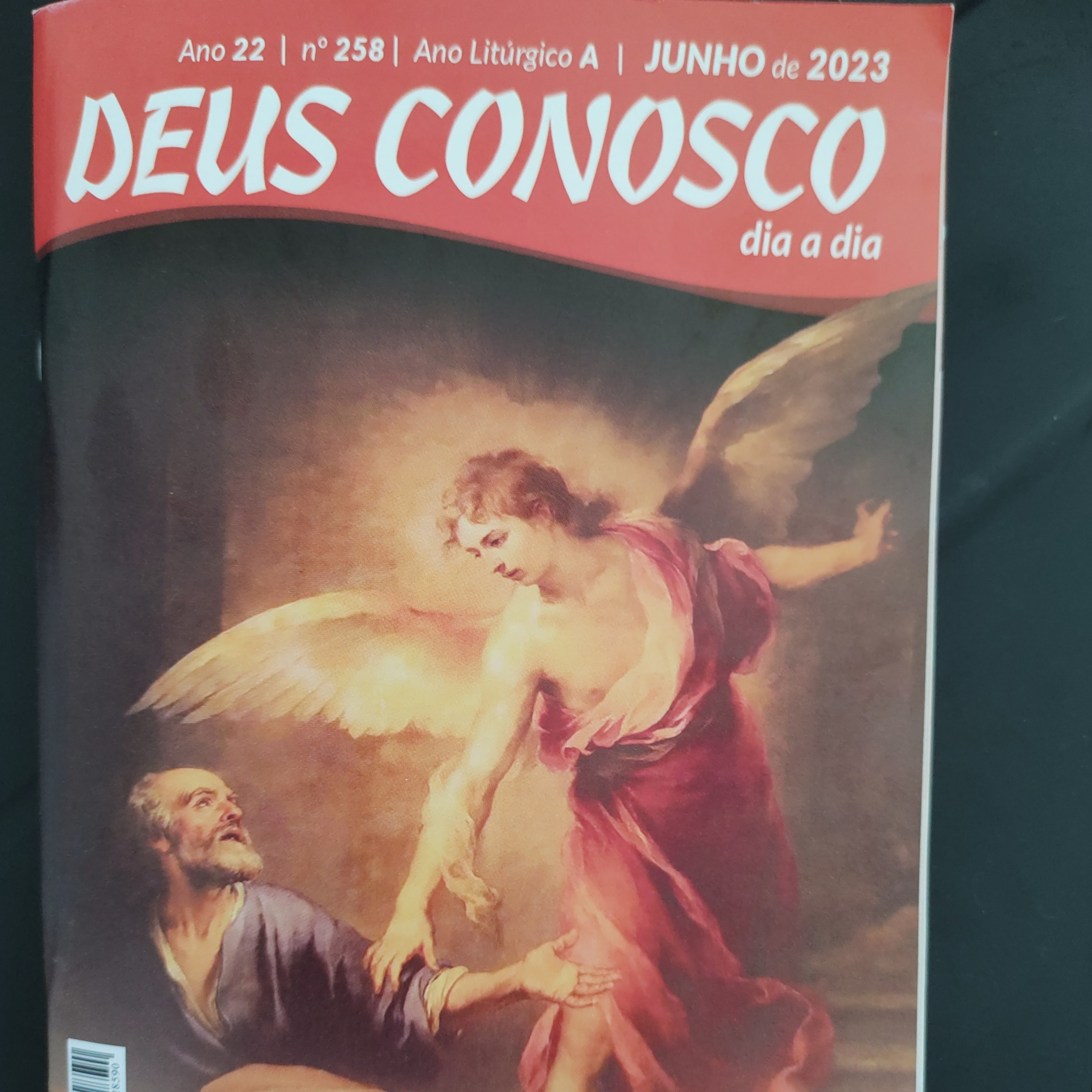 29Jun2023 Liturgia Diária - Deus Conosco  episode artwork