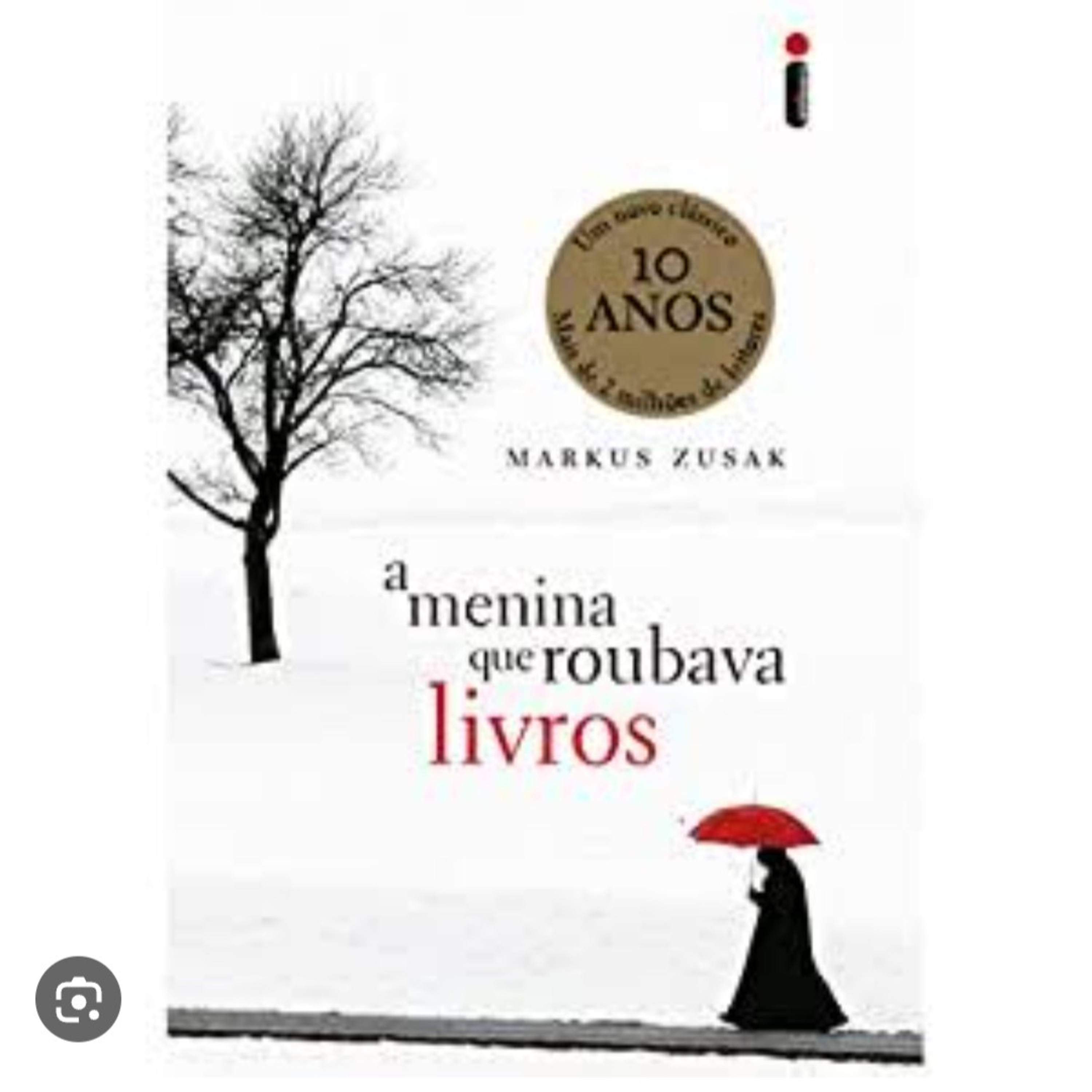 41. A Menina que roubava Livros. Parte Dez. Último áudio  episode artwork