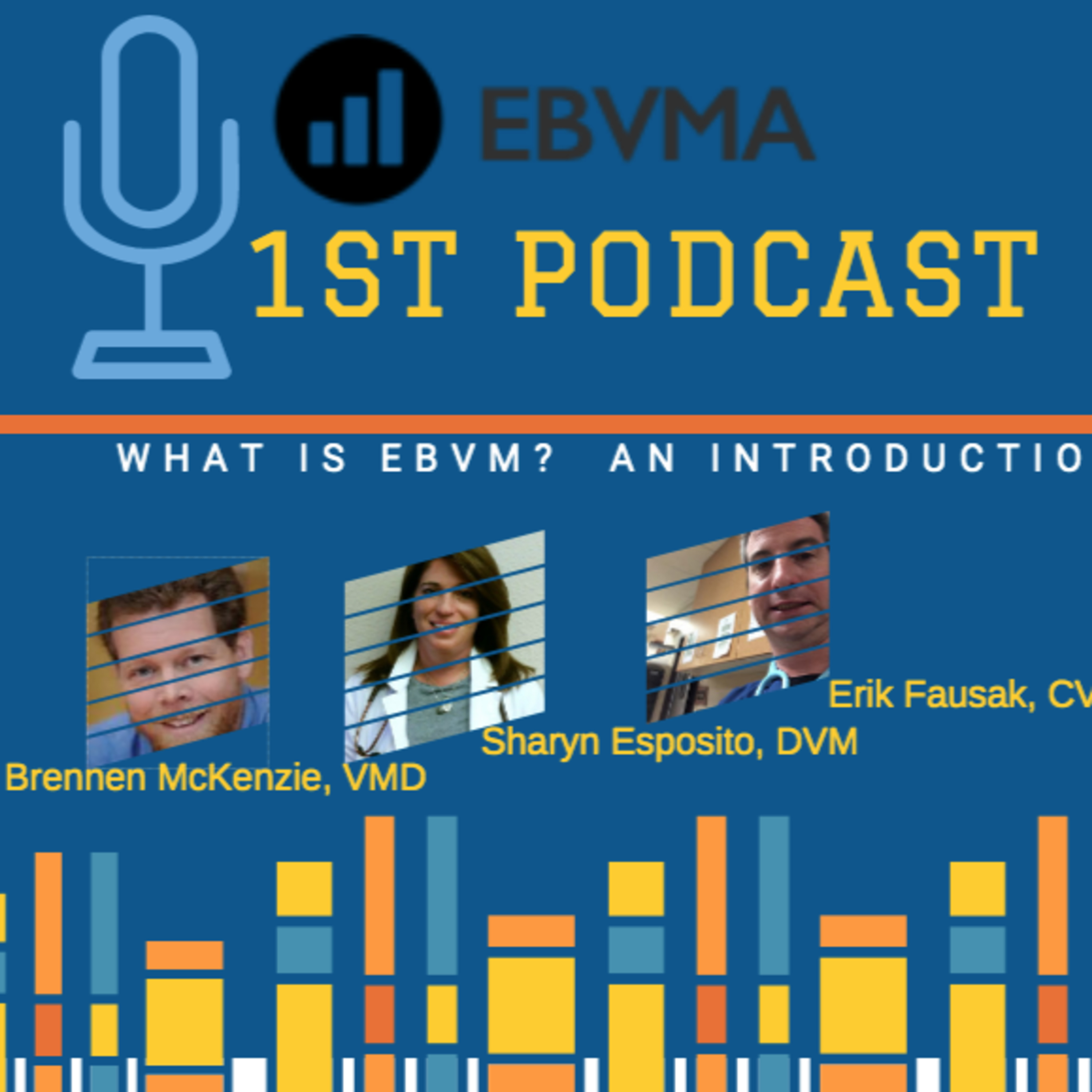 EBVMA Podcast