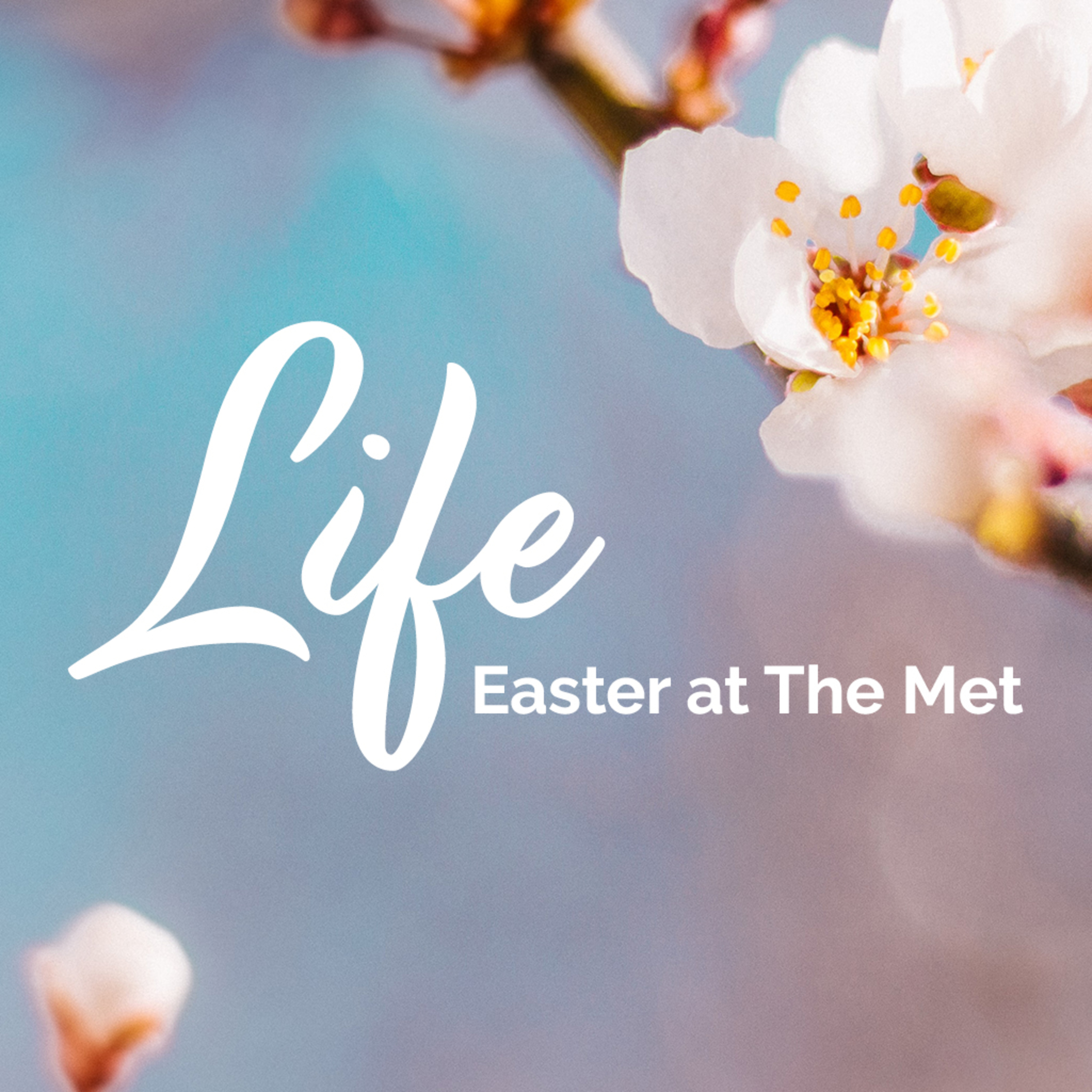 The Purchase of Life (Part 2 of 2) | Life