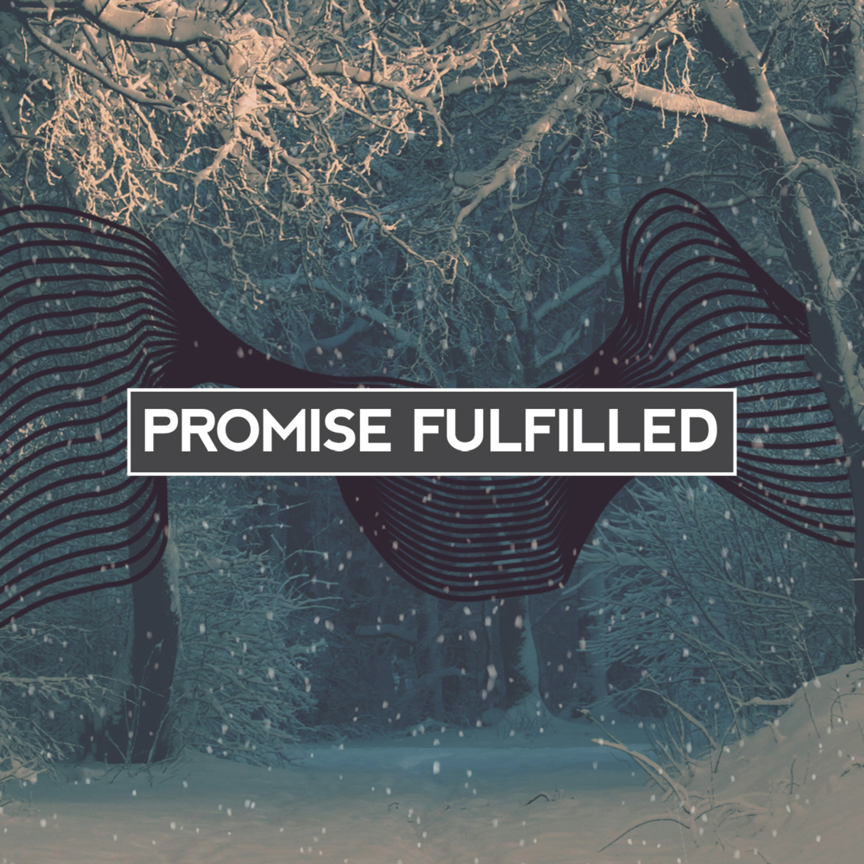 The Dawning of Light in a Dark Land (Part 2 of 2) | Promise Fulfilled