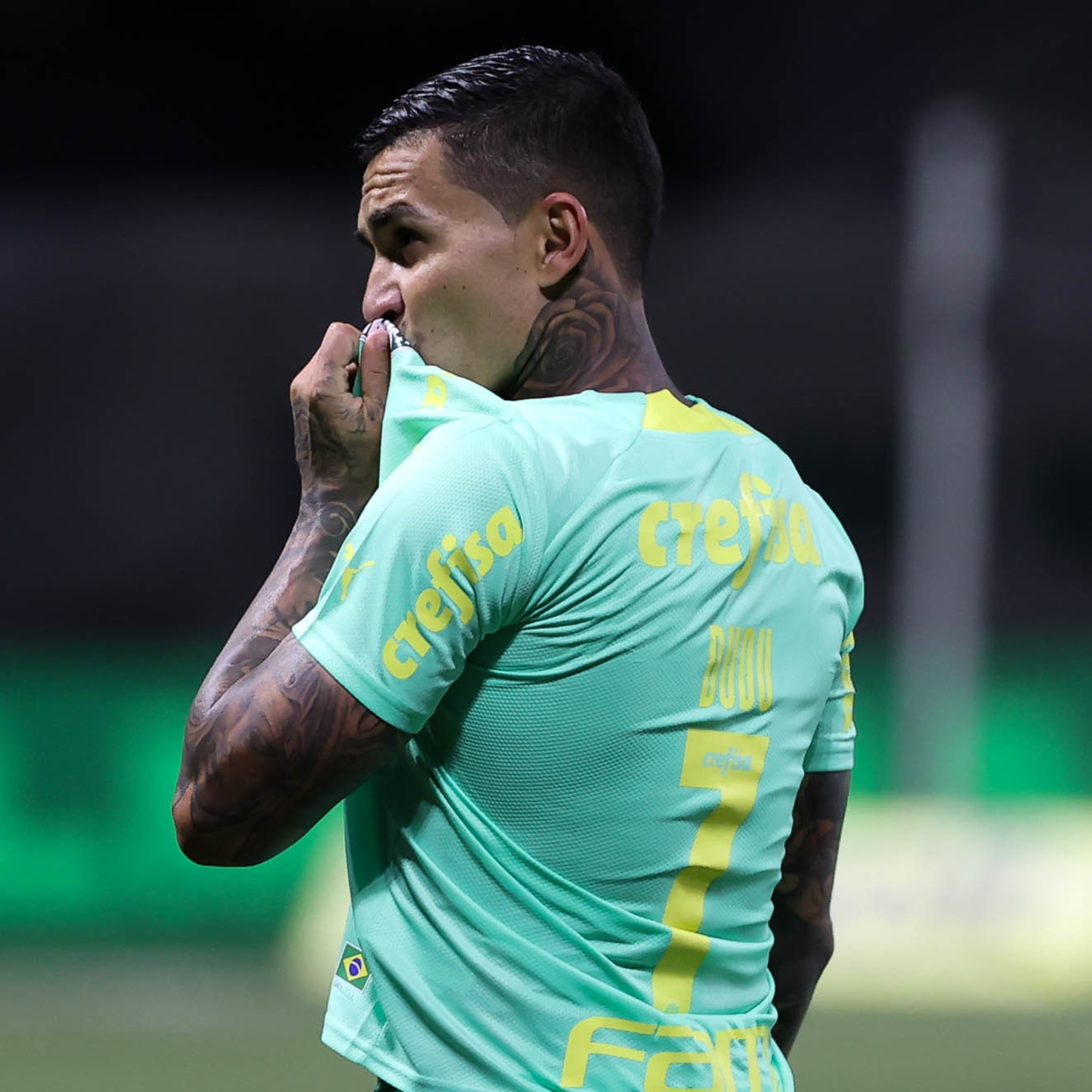 Coluna Palmeiras #76 - o título está próximo e não é por acaso 
