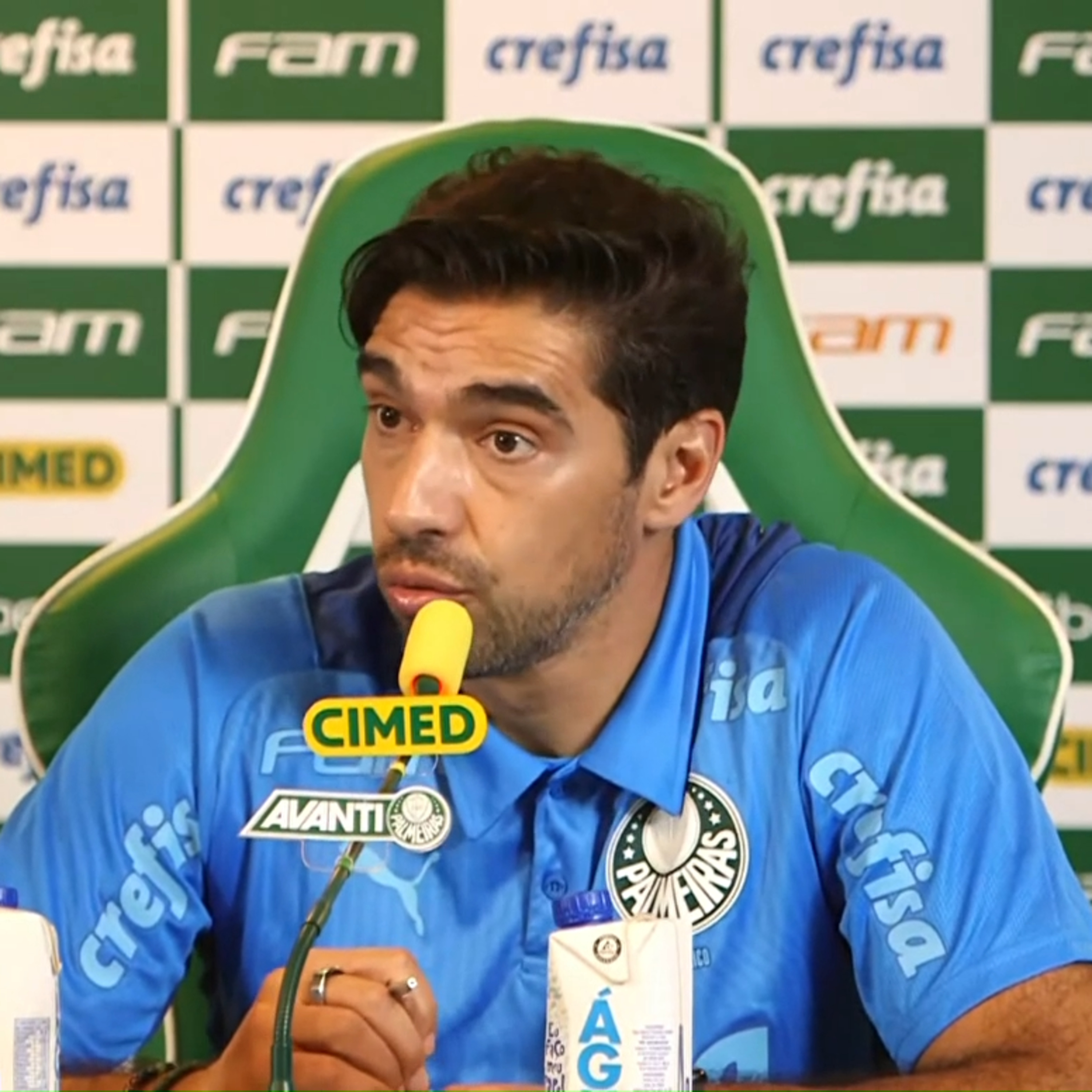 Coluna Palmeiras