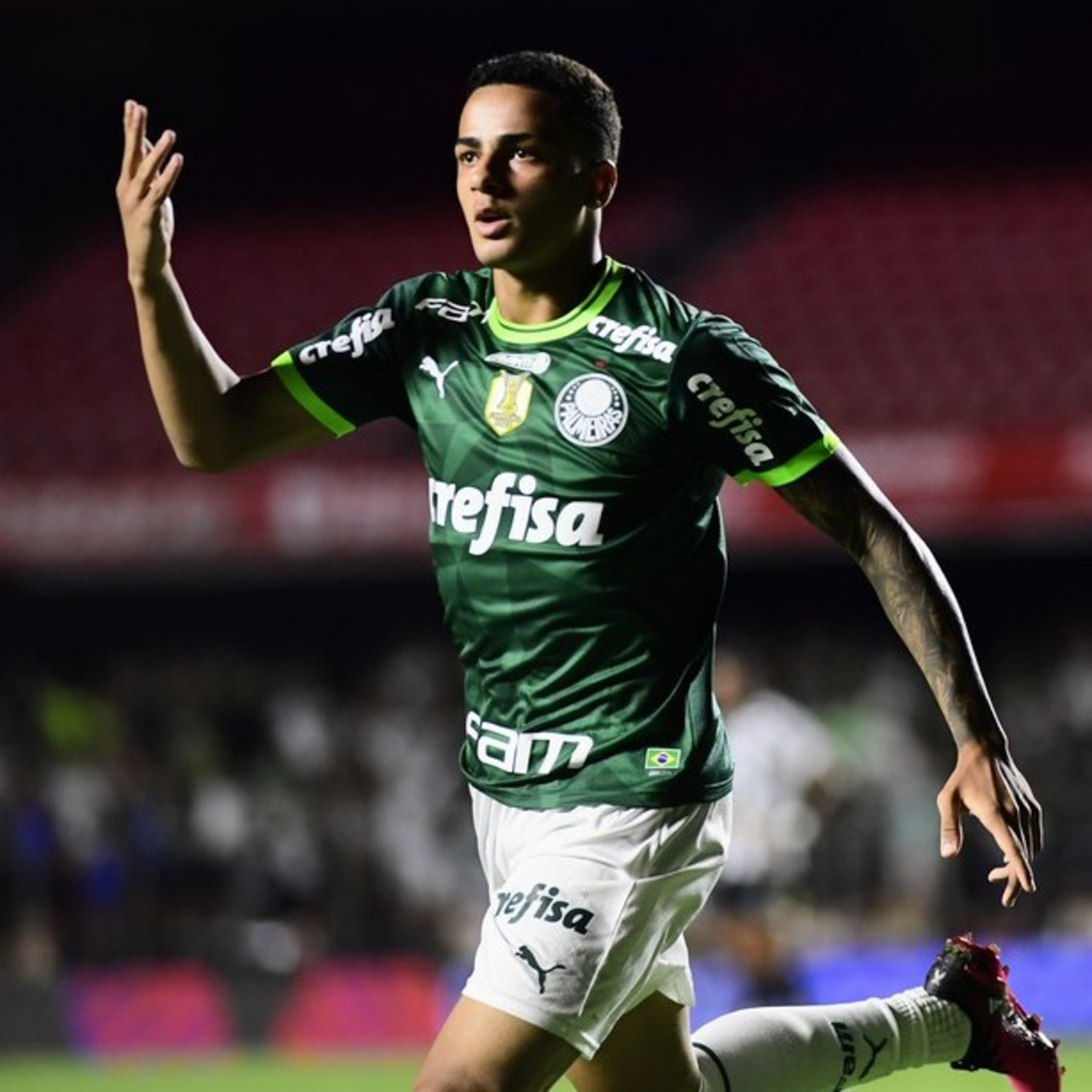 Coluna Palmeiras
