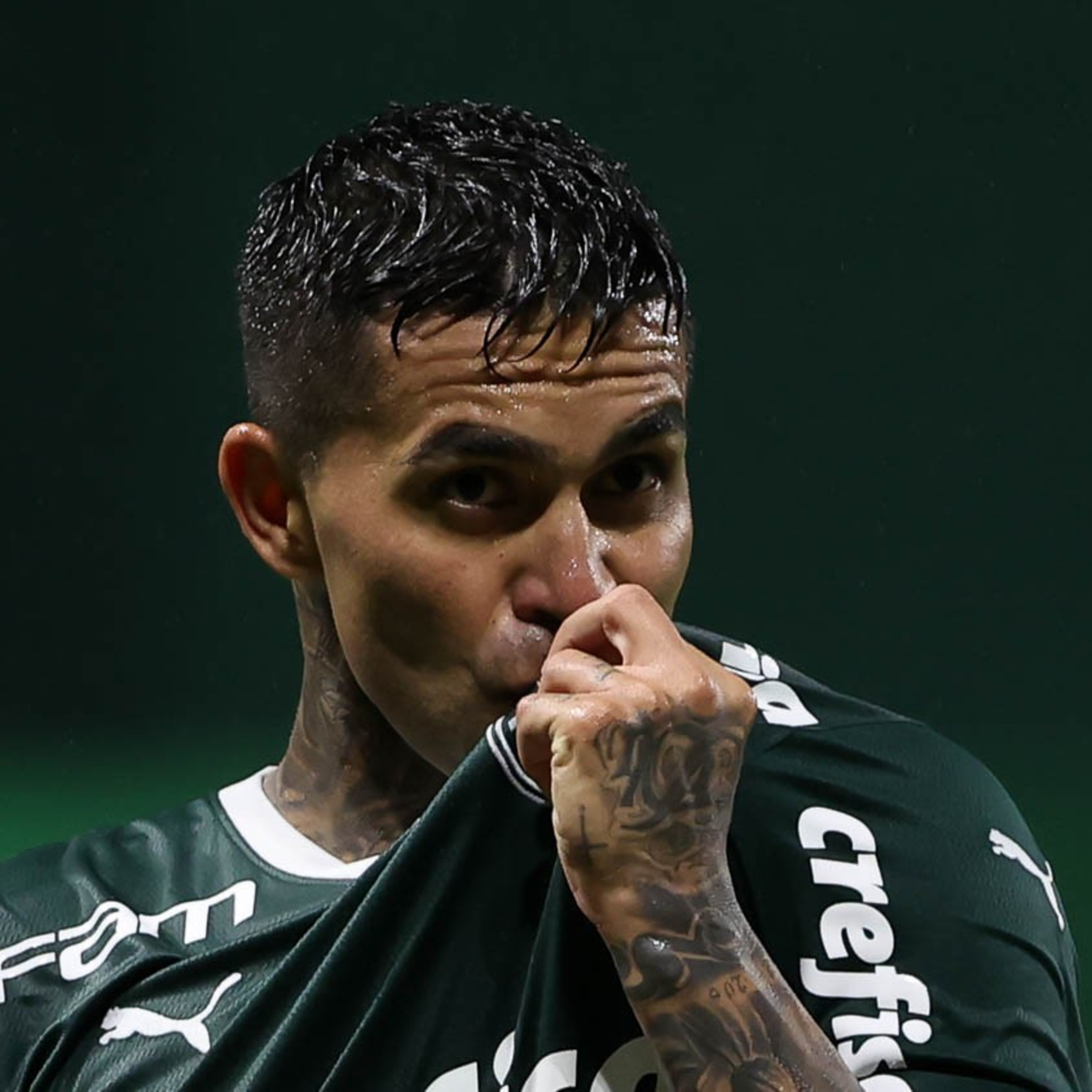 Coluna Palmeiras extra: presente e futuro ameaçados  episode artwork