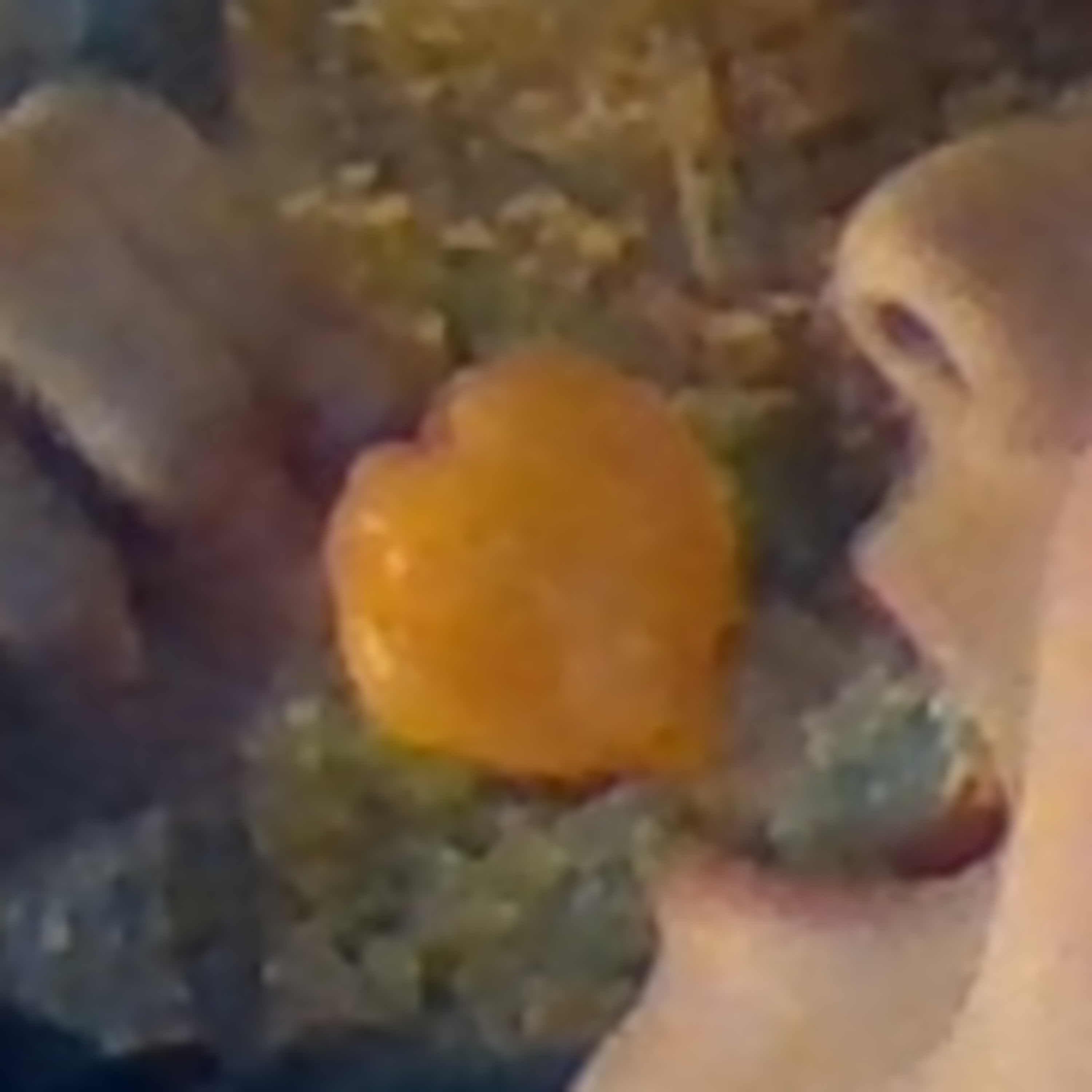 peppers