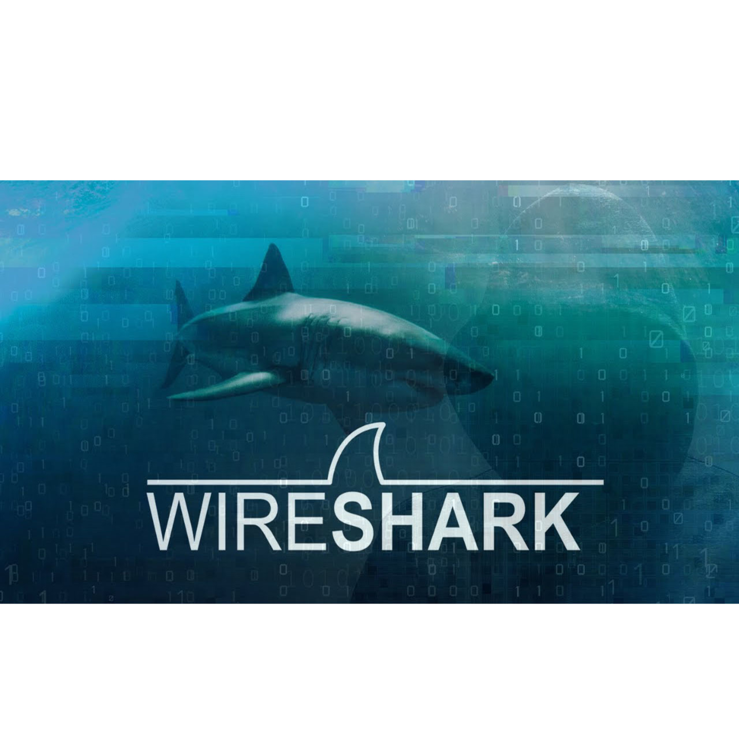 #55: David Bombal: Wireshark: Packet Analysis and Ethical Hacking Course