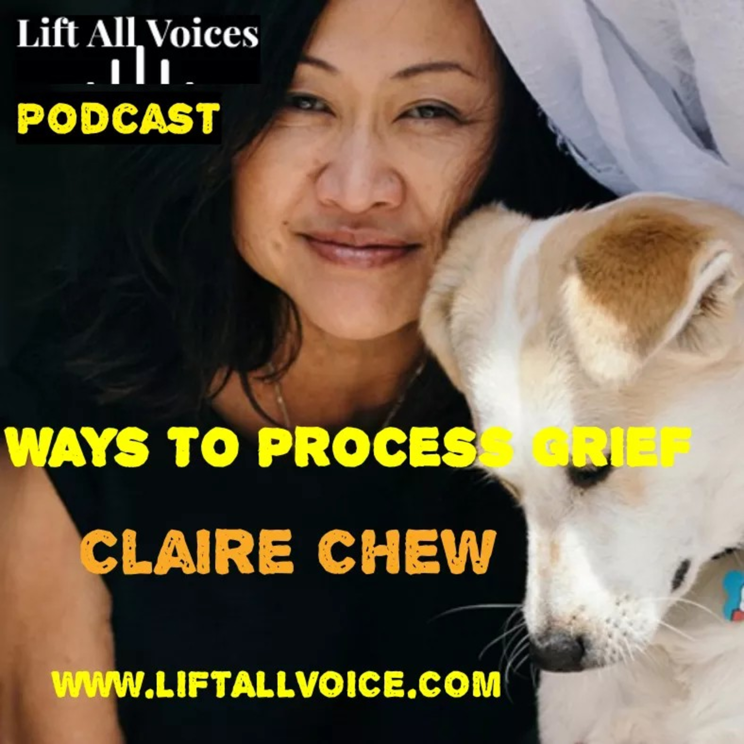Lift All Voices Platform