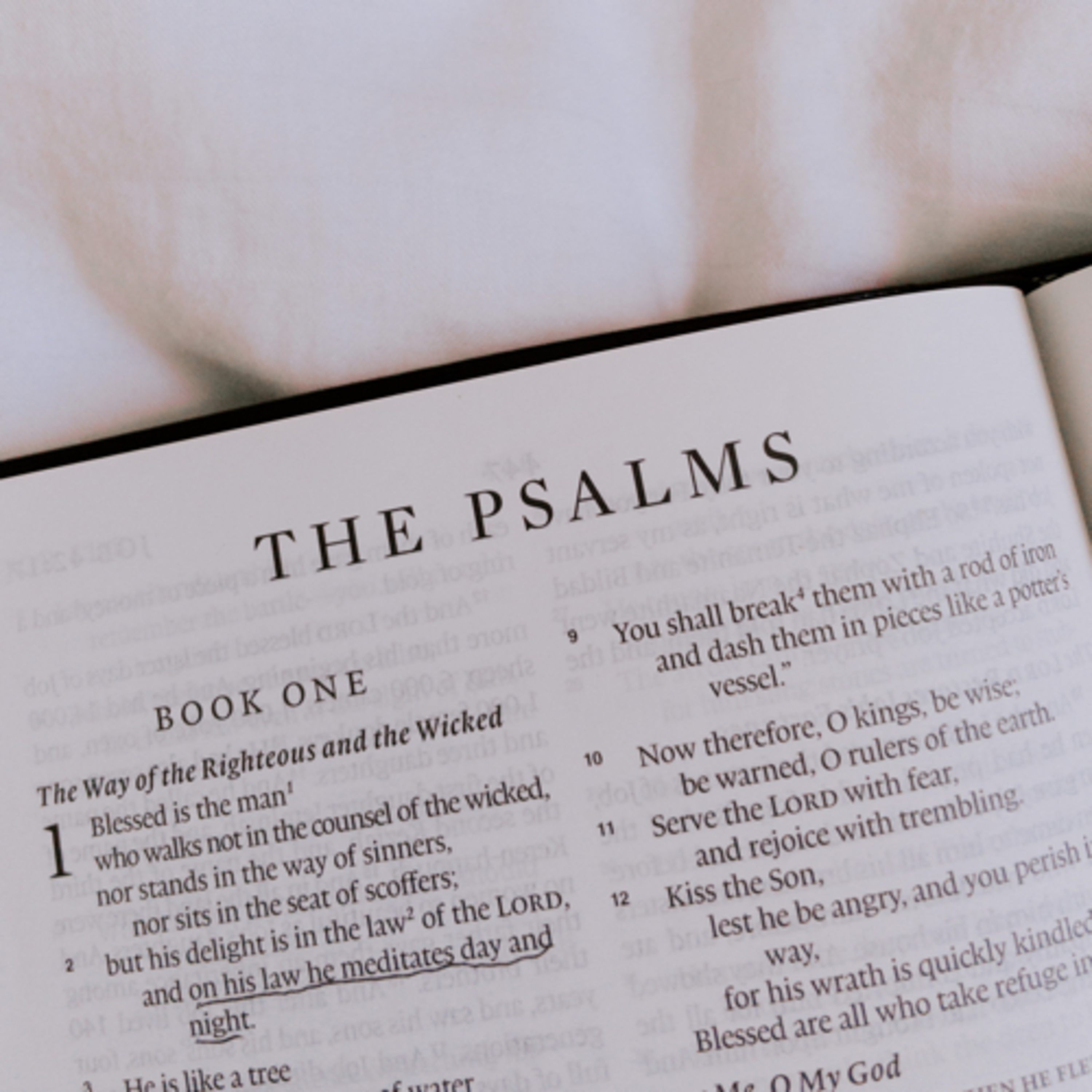 Psalm 30  episode artwork