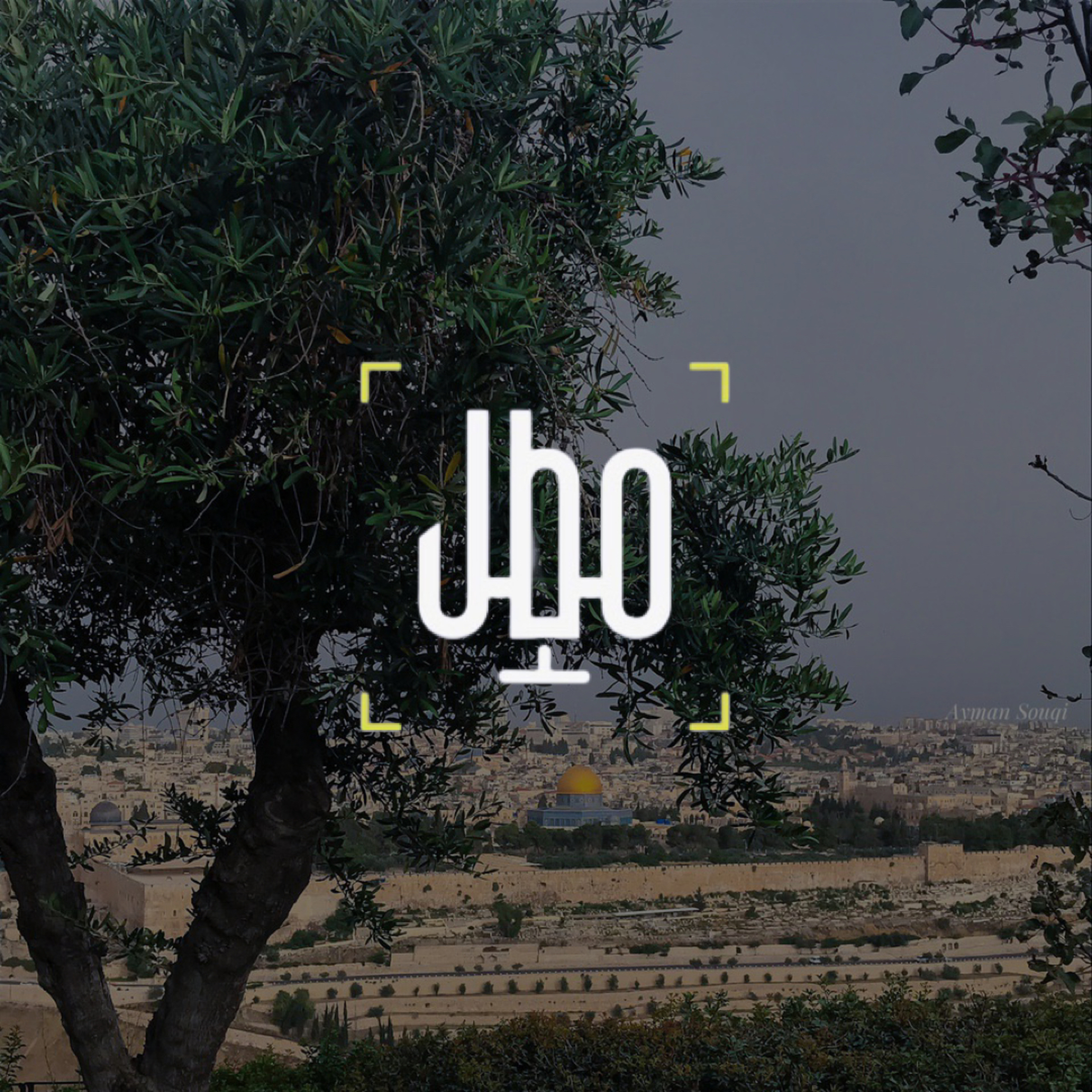 قصة بيت المقدس ٢: رسالة موسى ﷺ ومواجهة الفراعنة
