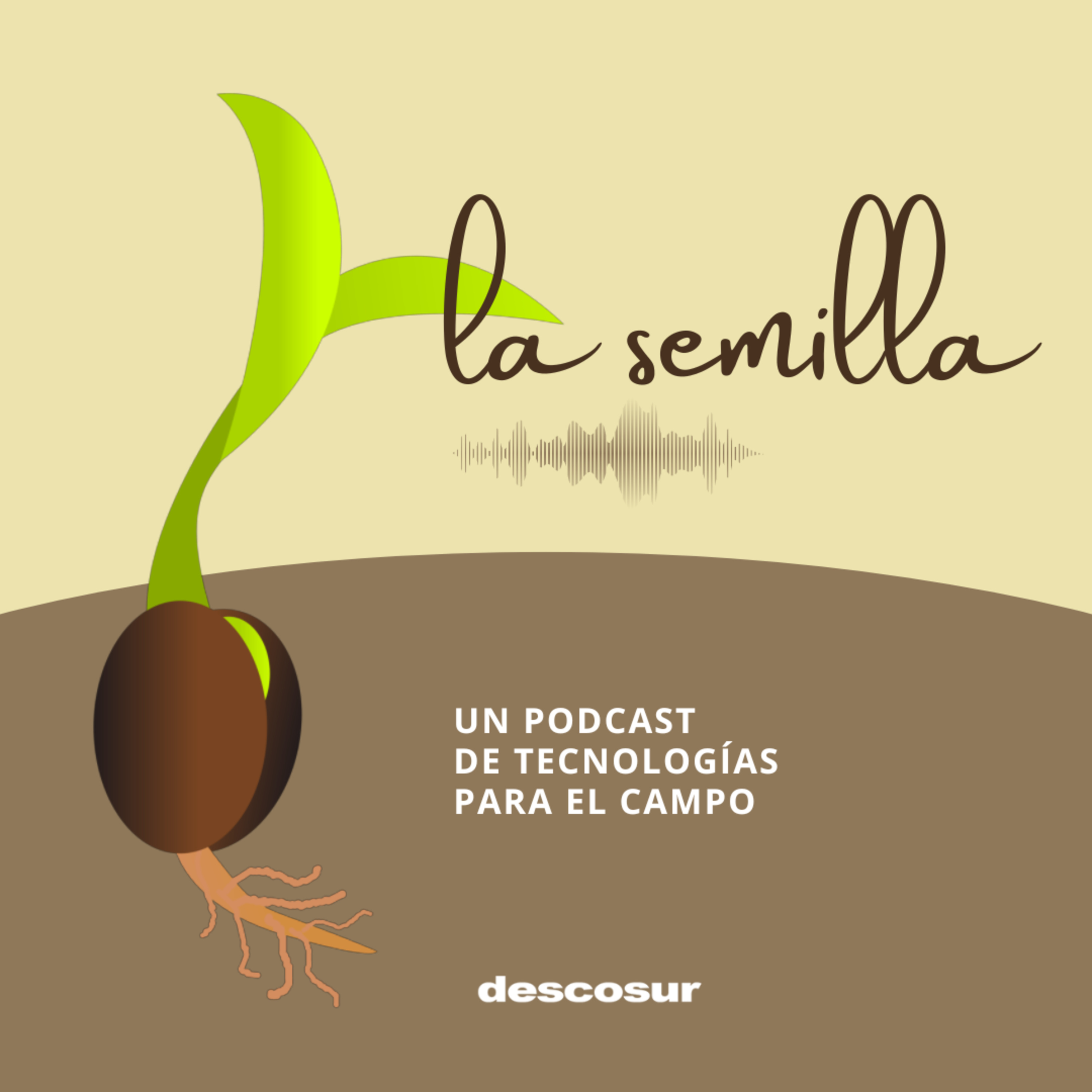 Radio descosur