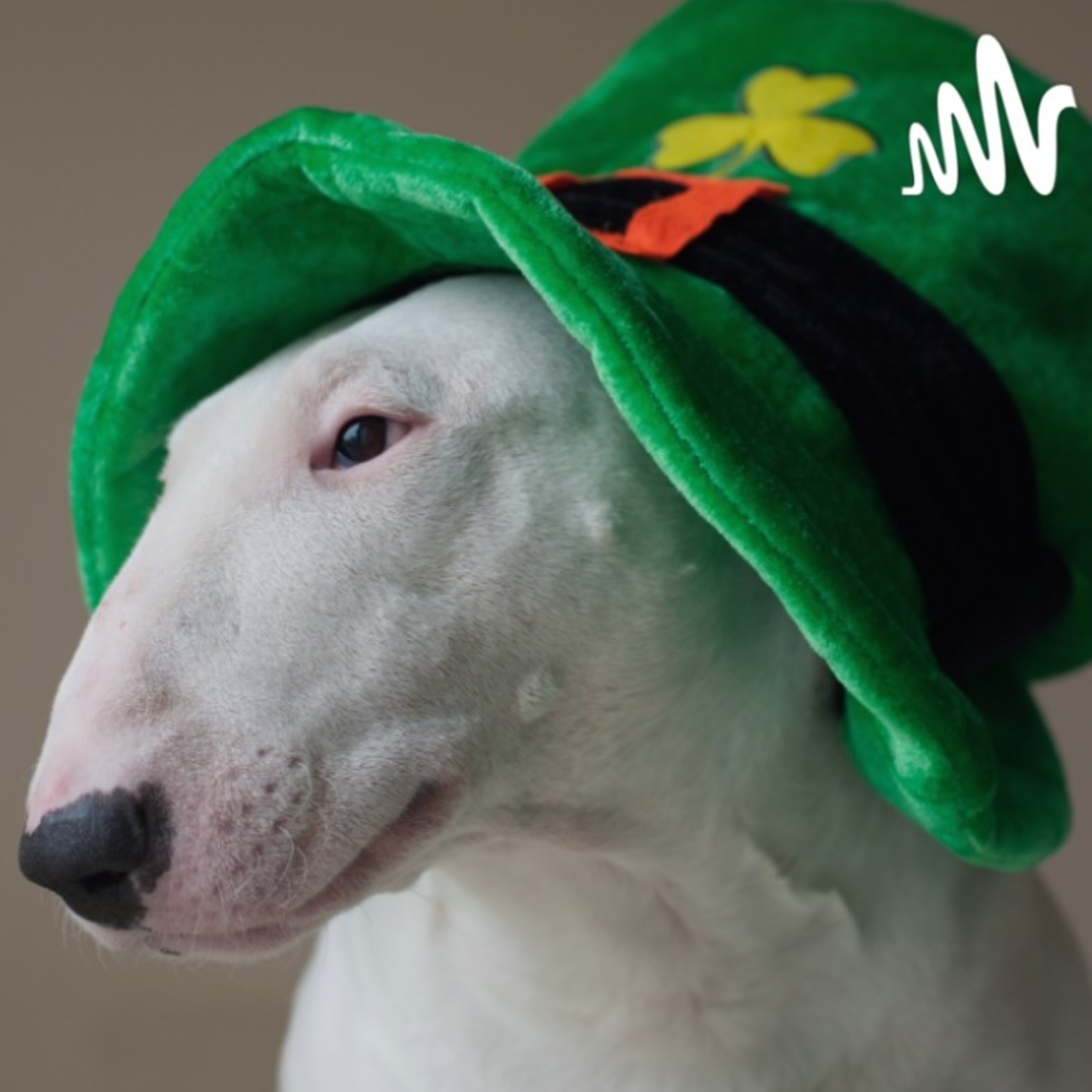 🍀17 de marzo: Día de San Patricio episode artwork