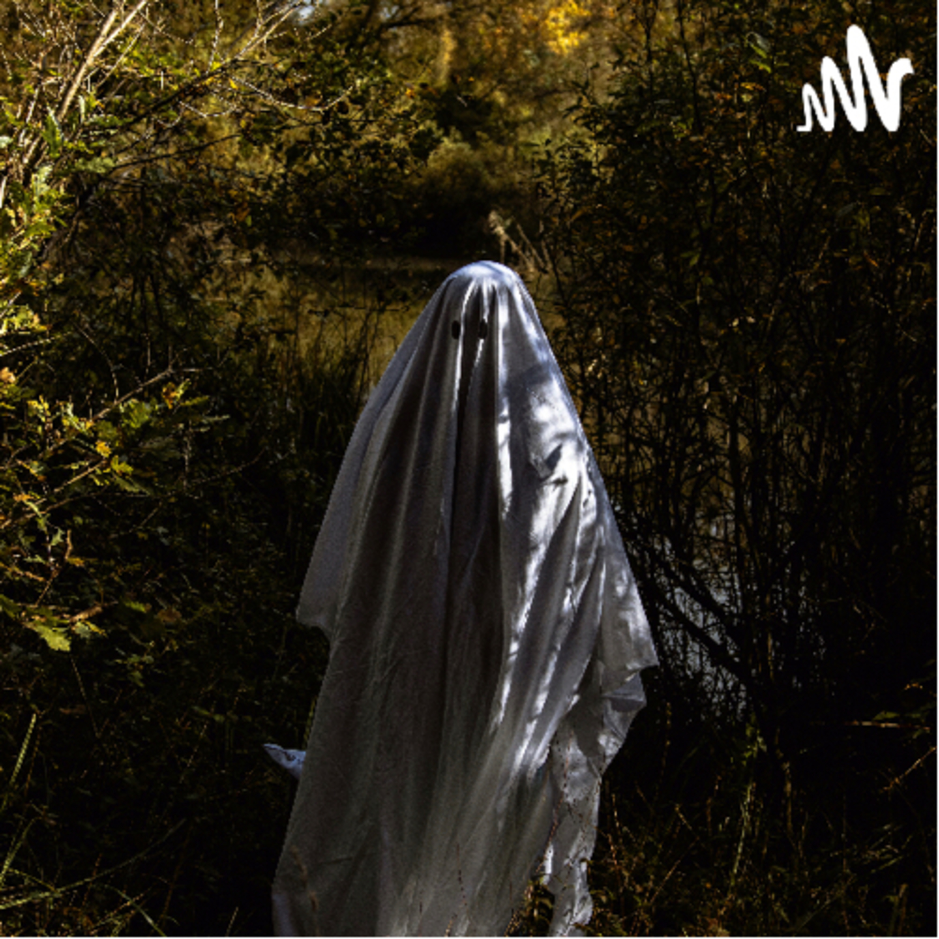 👻 El fantasma de Canterville de Oscar Wilde  episode artwork