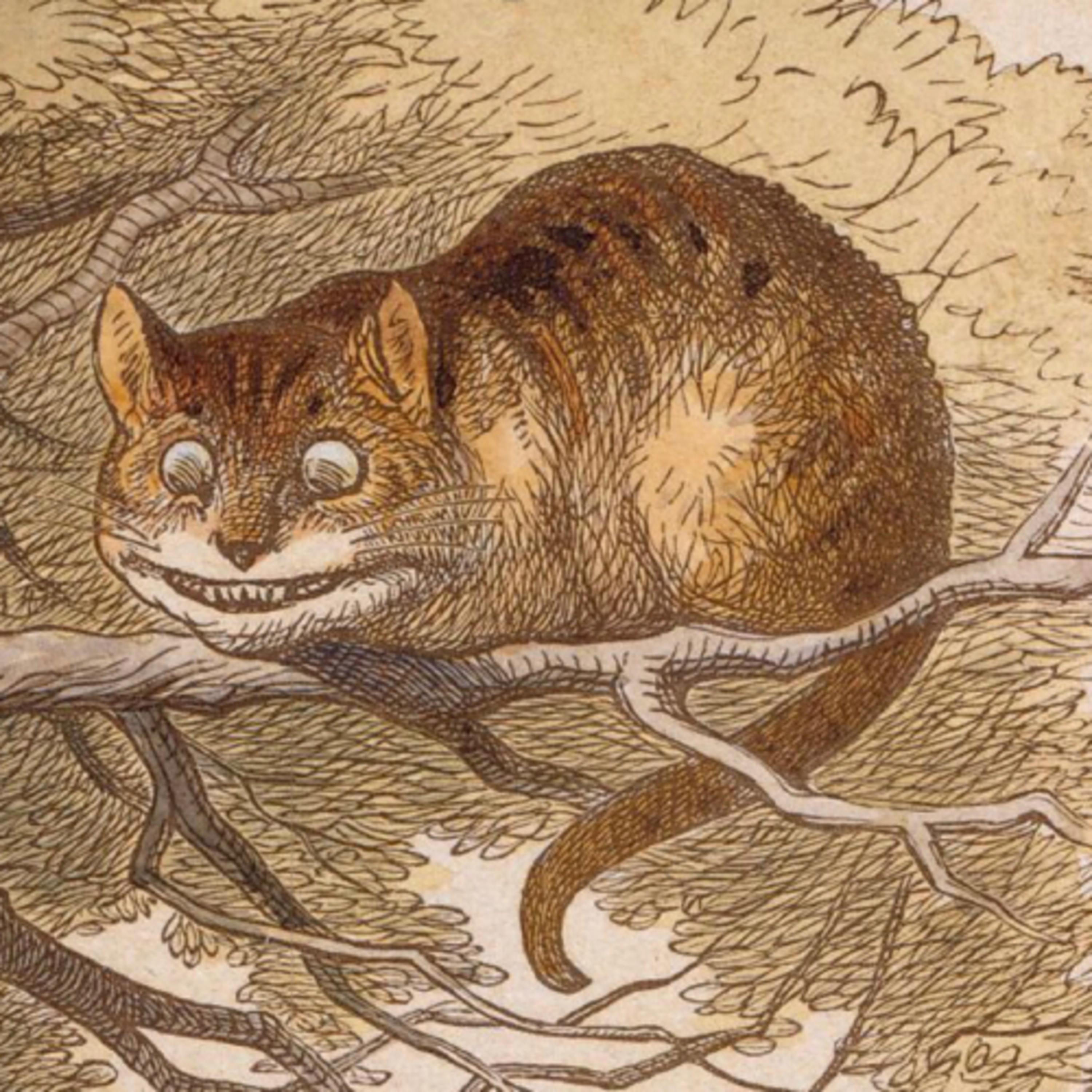 🐇 Alicia en el país de las maravillas 
Capítulo 4: el gato de Chesire
 episode artwork