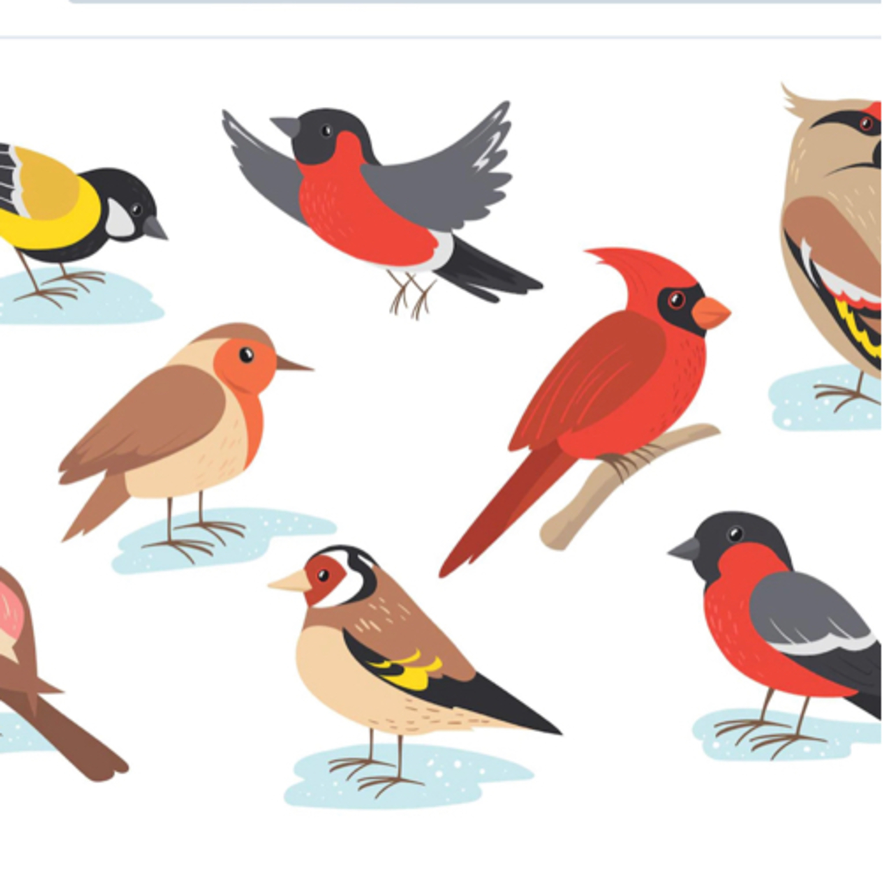 Los colores de las aves Cuento tradicional de la India episode artwork