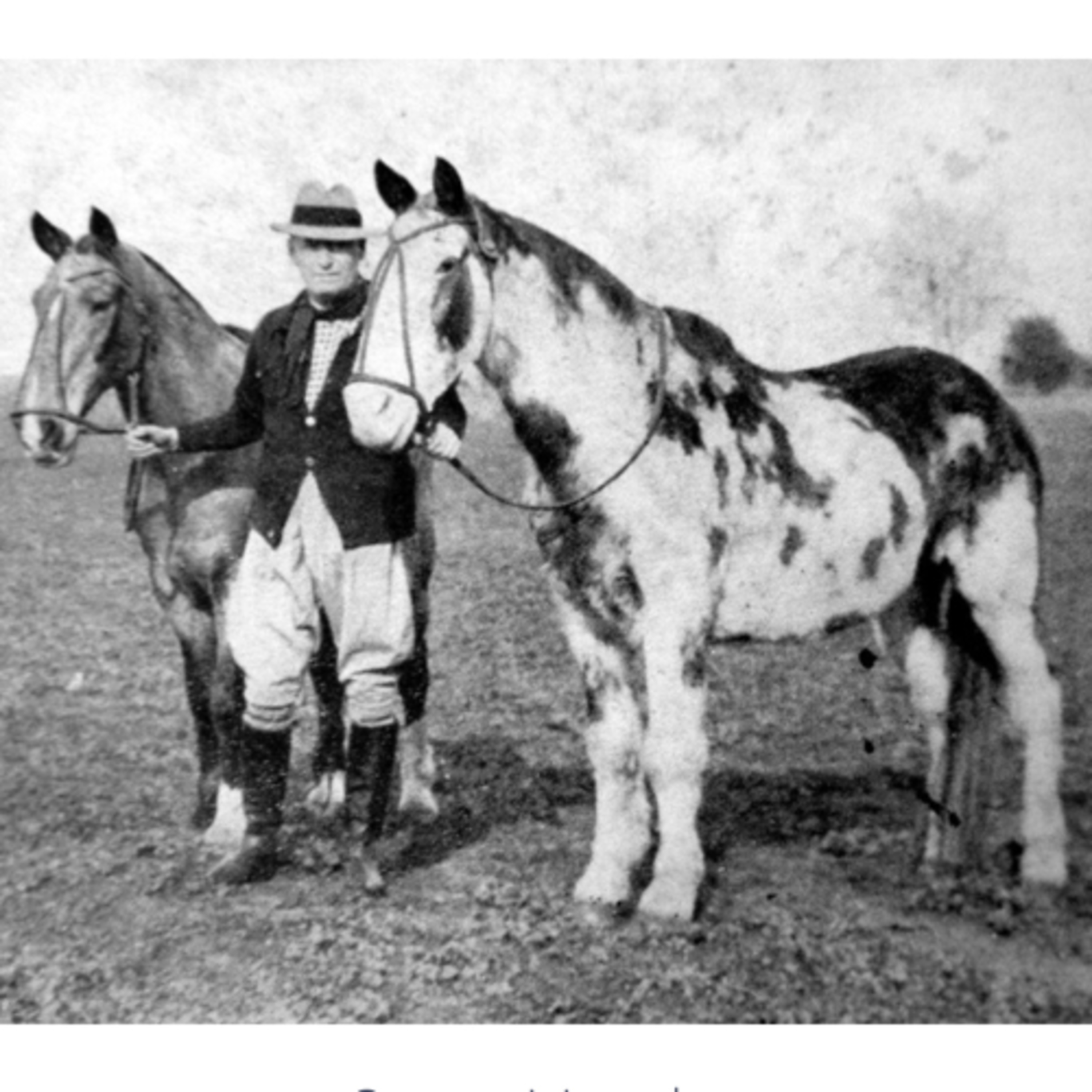 🐴 Los caballos criollos Gato y Mancha Primer Capítulo  episode artwork