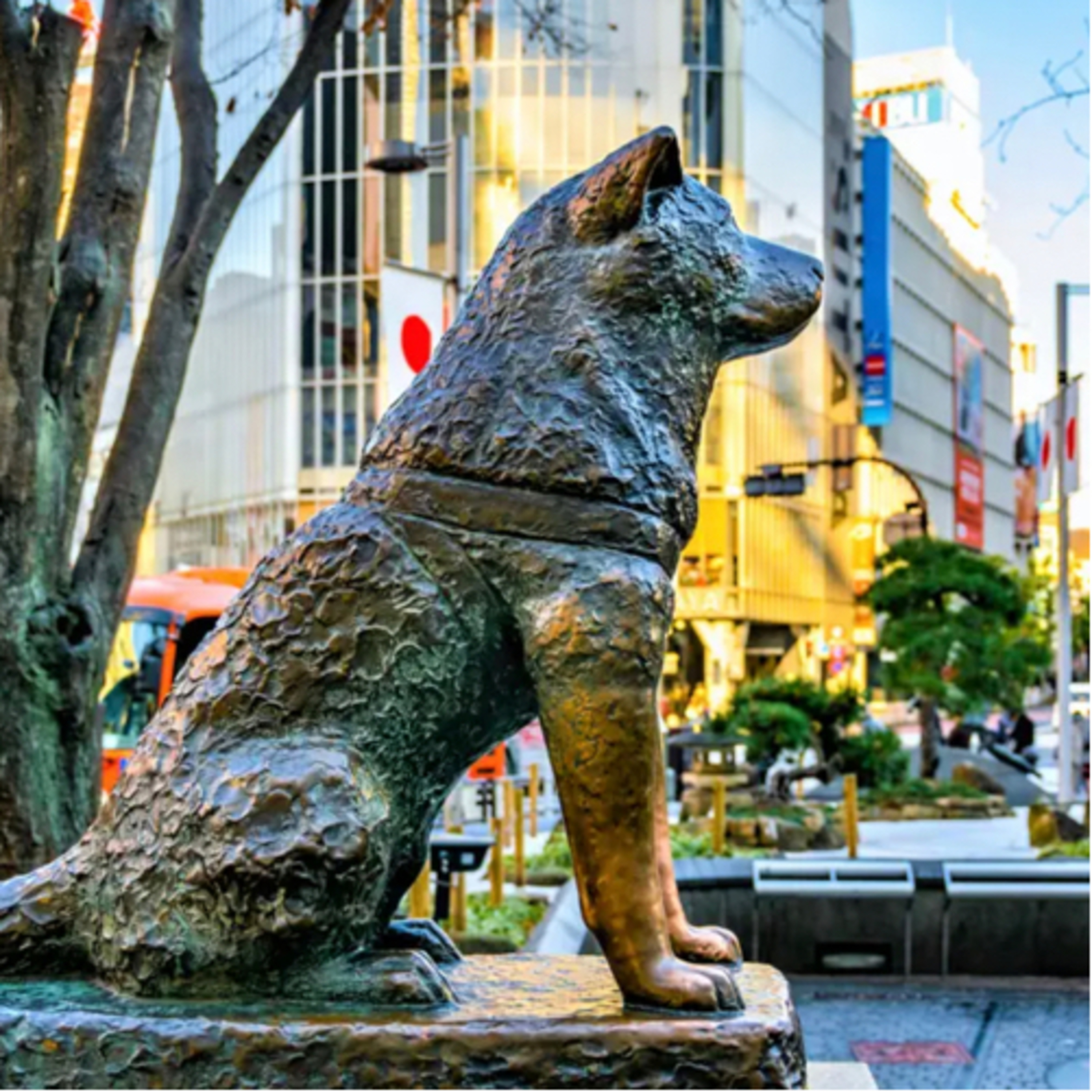 La historia de Hachiko, el perro fiel episode artwork