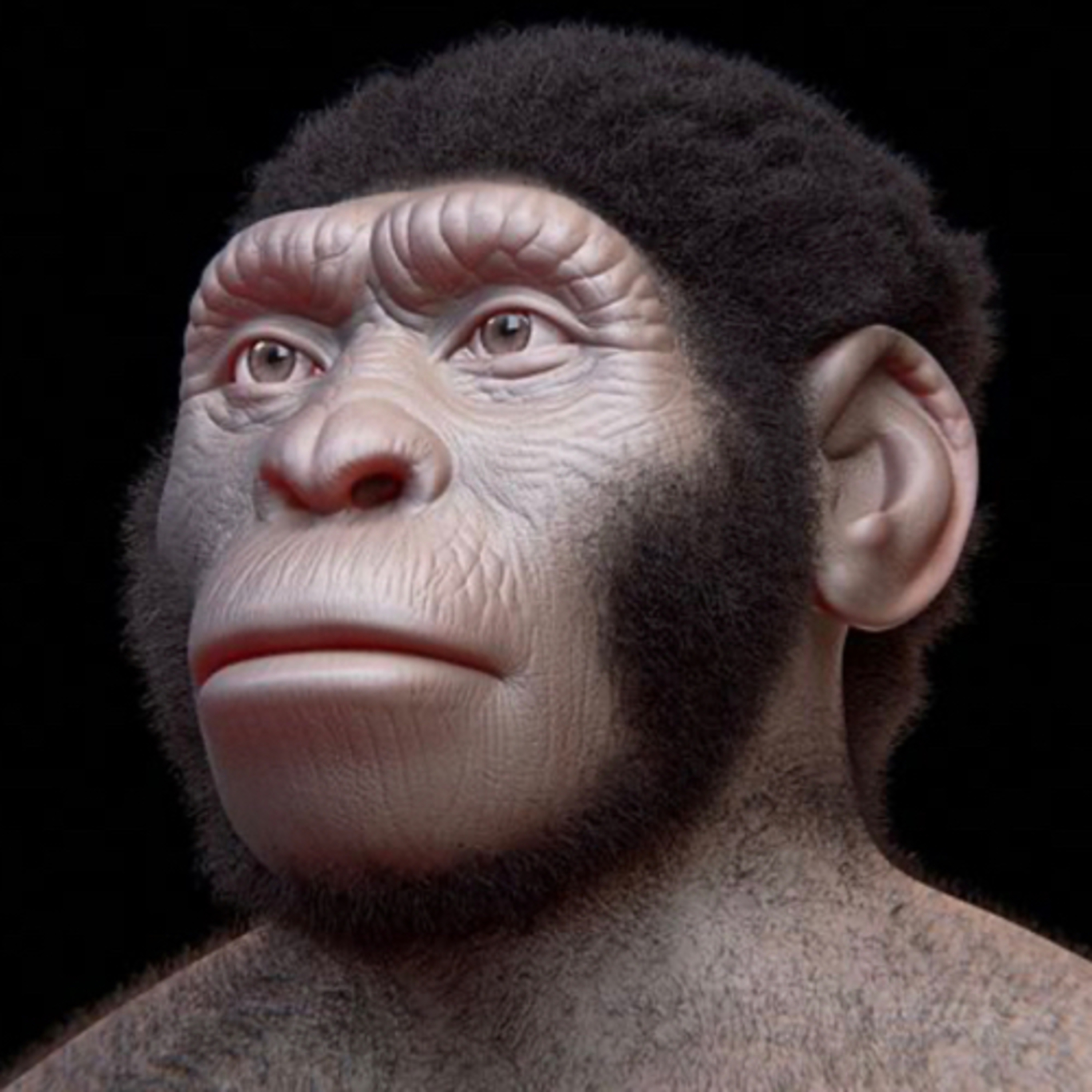 La cueva de los Homo Naledi en Sudáfrica  episode artwork