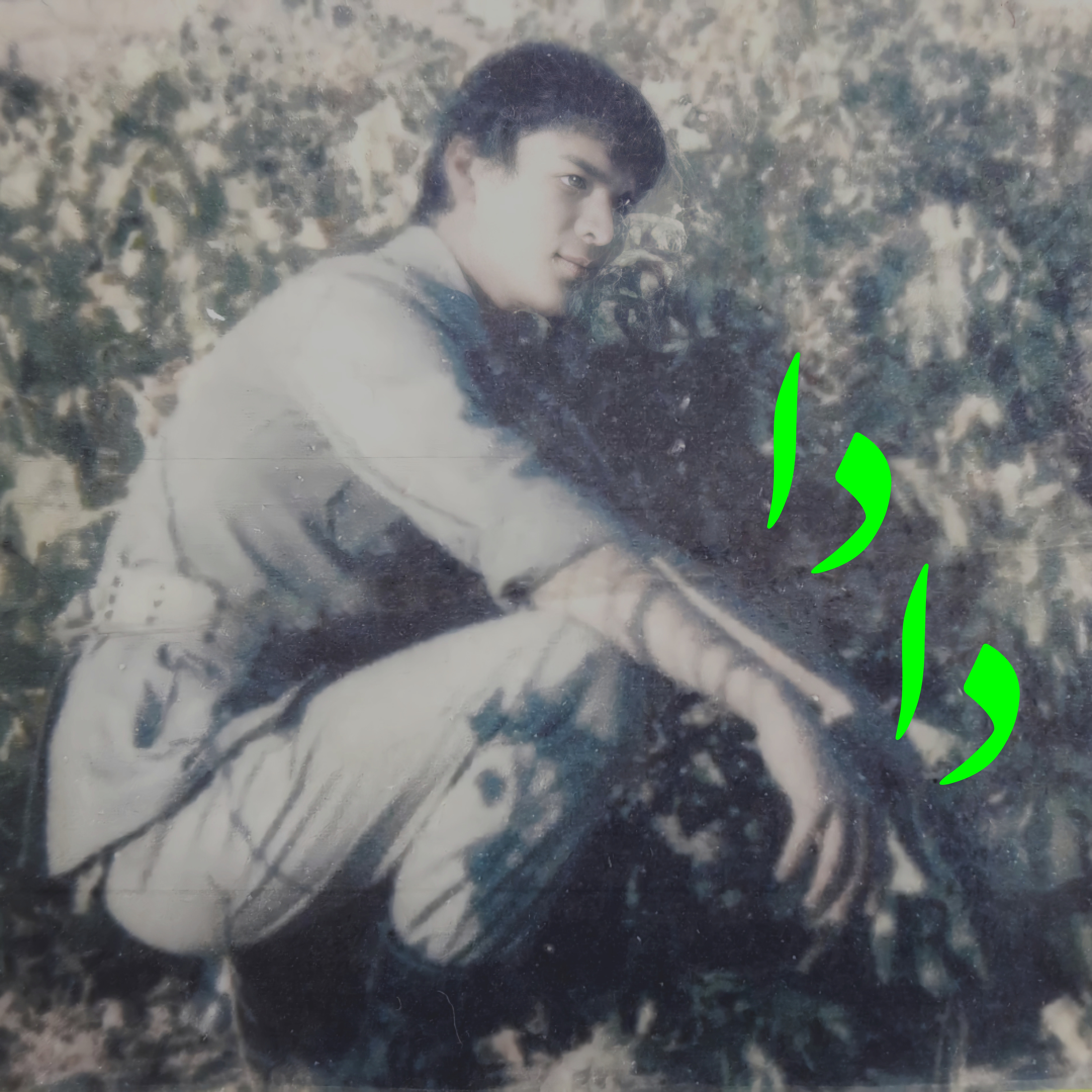 کاور دادا