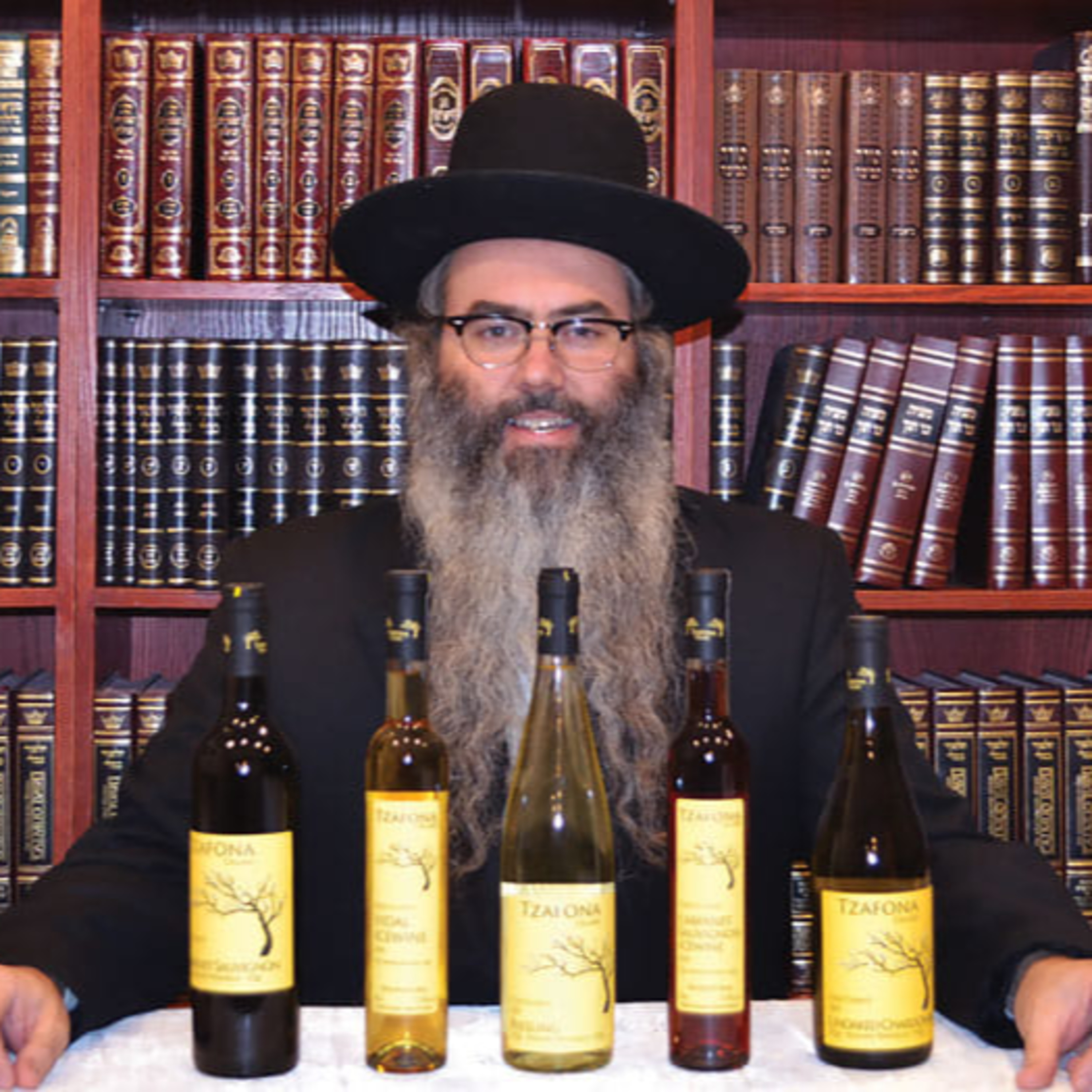 Breslev Israel Podcast