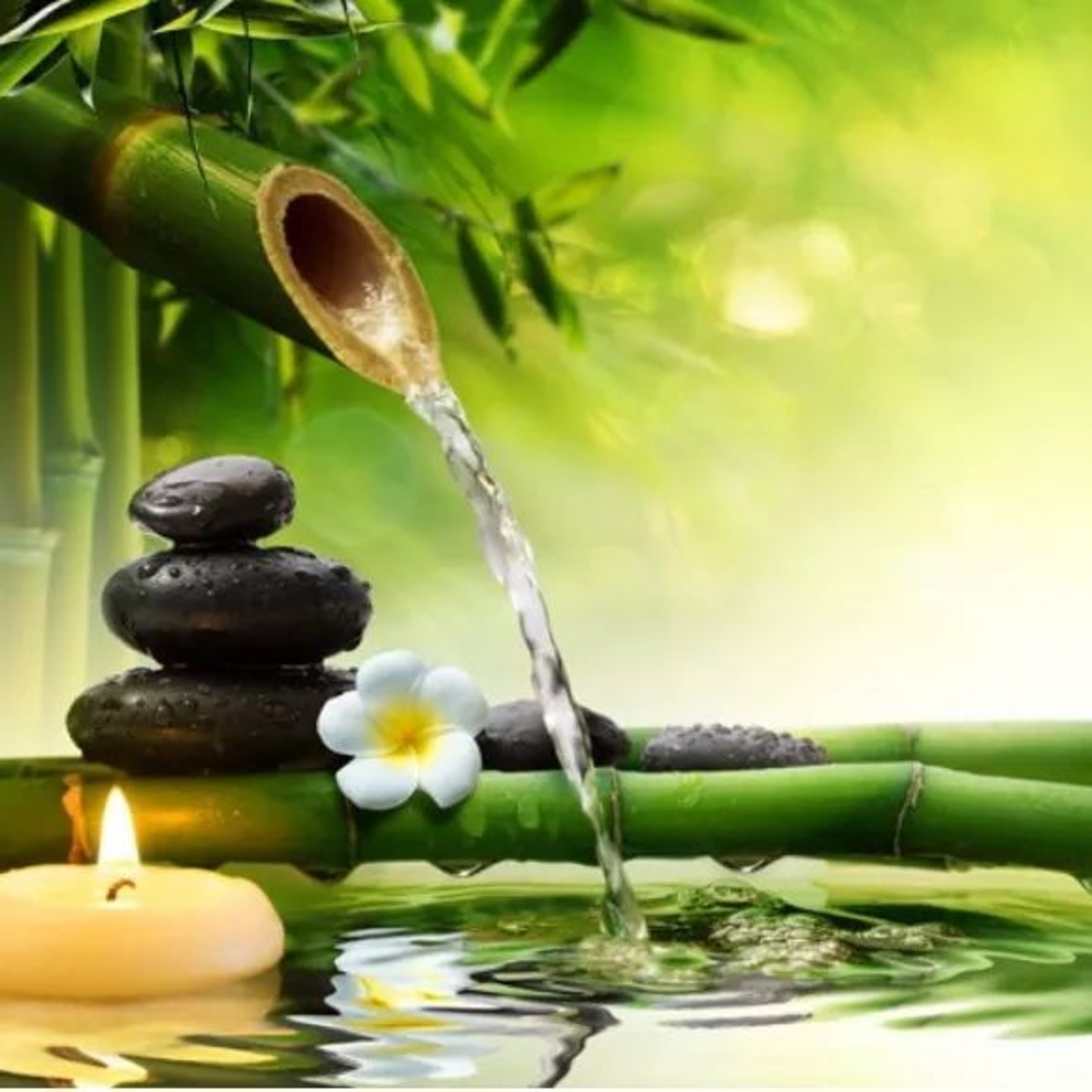 Conheça Aromas e Matérias-Primas Da Cacá