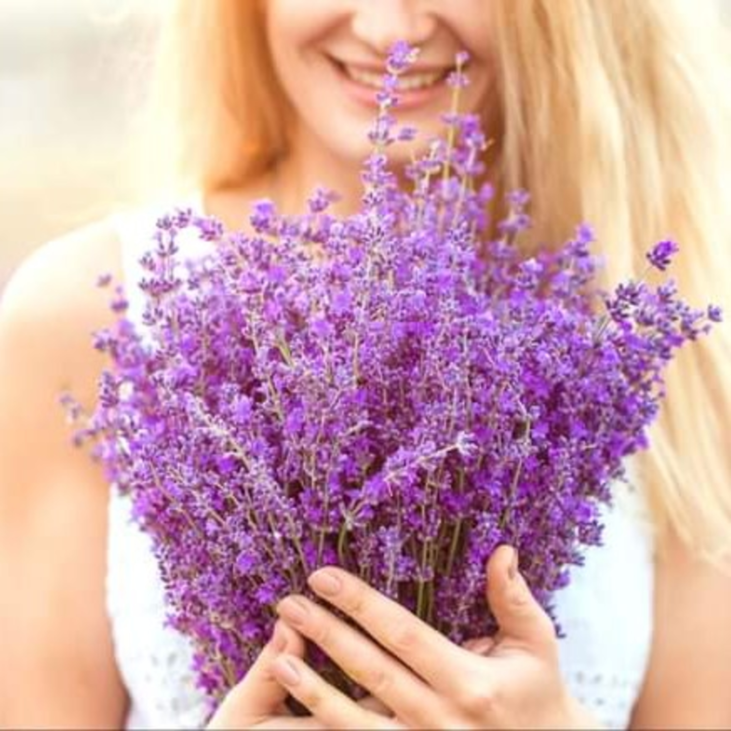 Conheça Aromas e Matérias-Primas Da Cacá