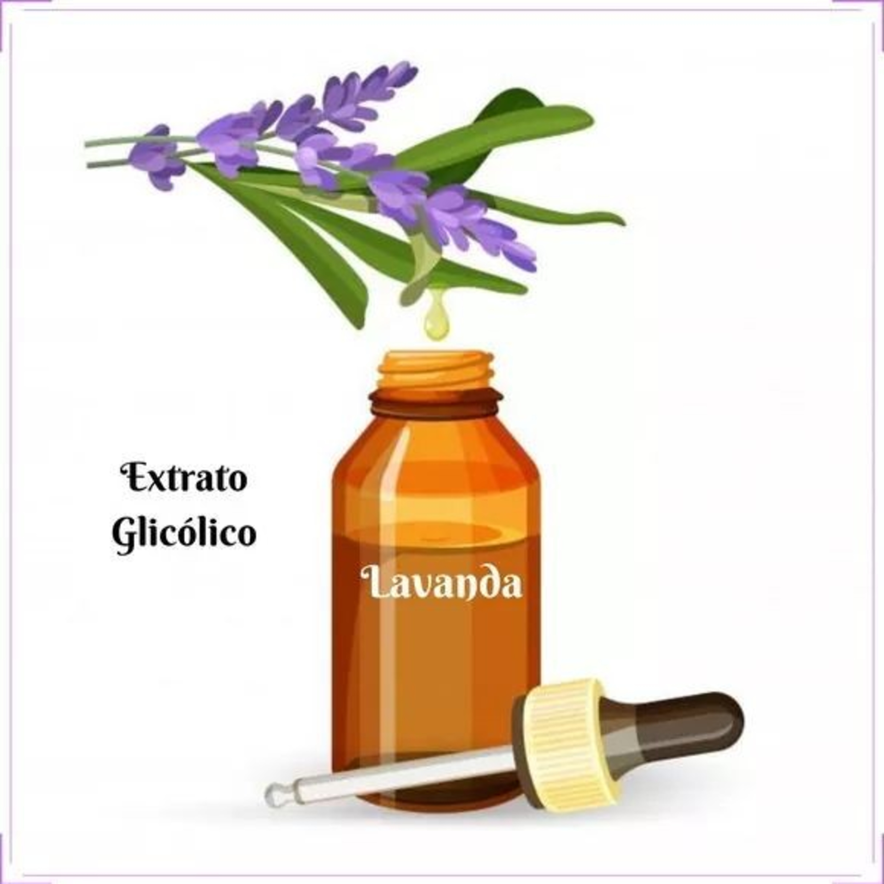 Conheça Aromas e Matérias-Primas Da Cacá