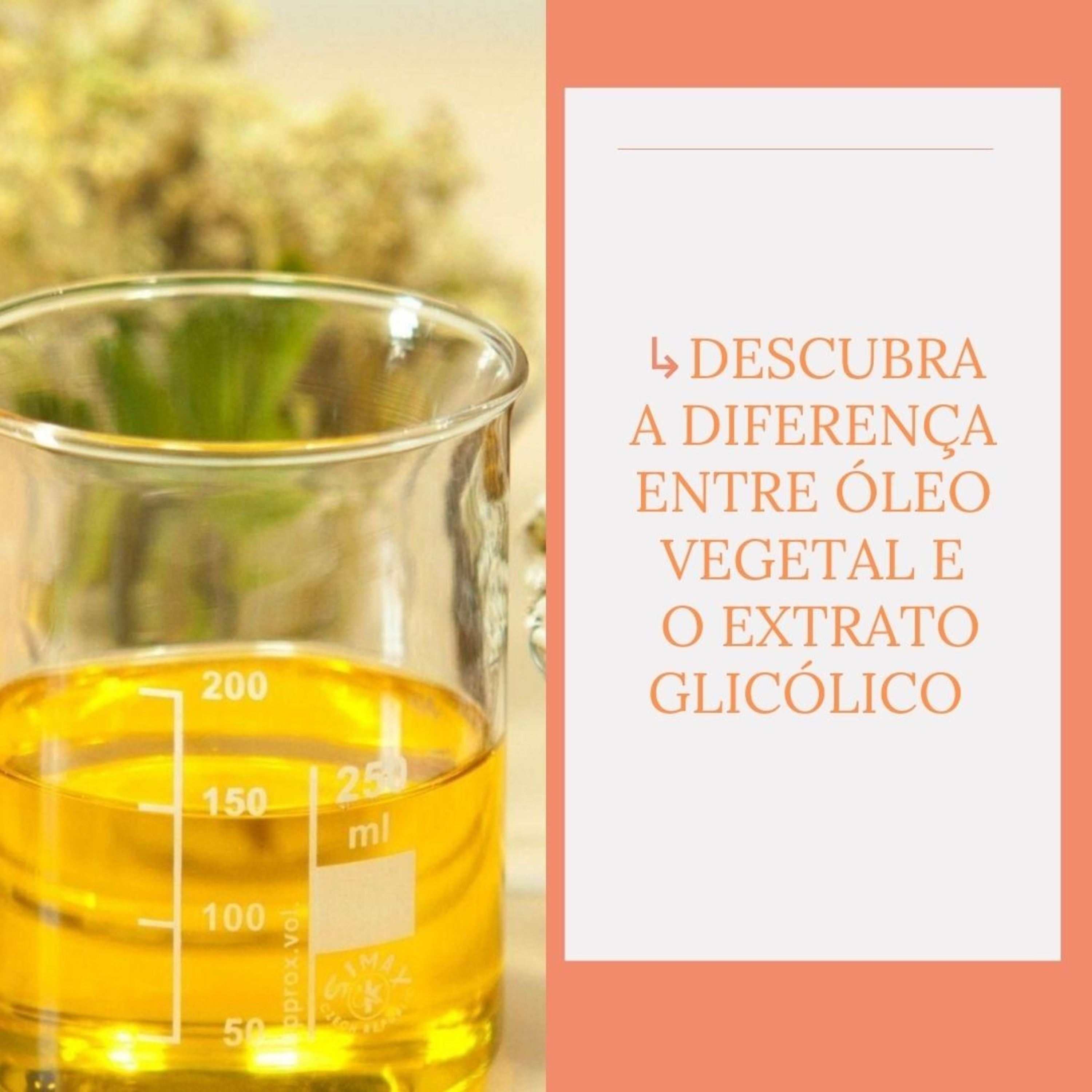 Descubra a Diferença entre Óleo Vegetal e Extrato Glicólico episode artwork