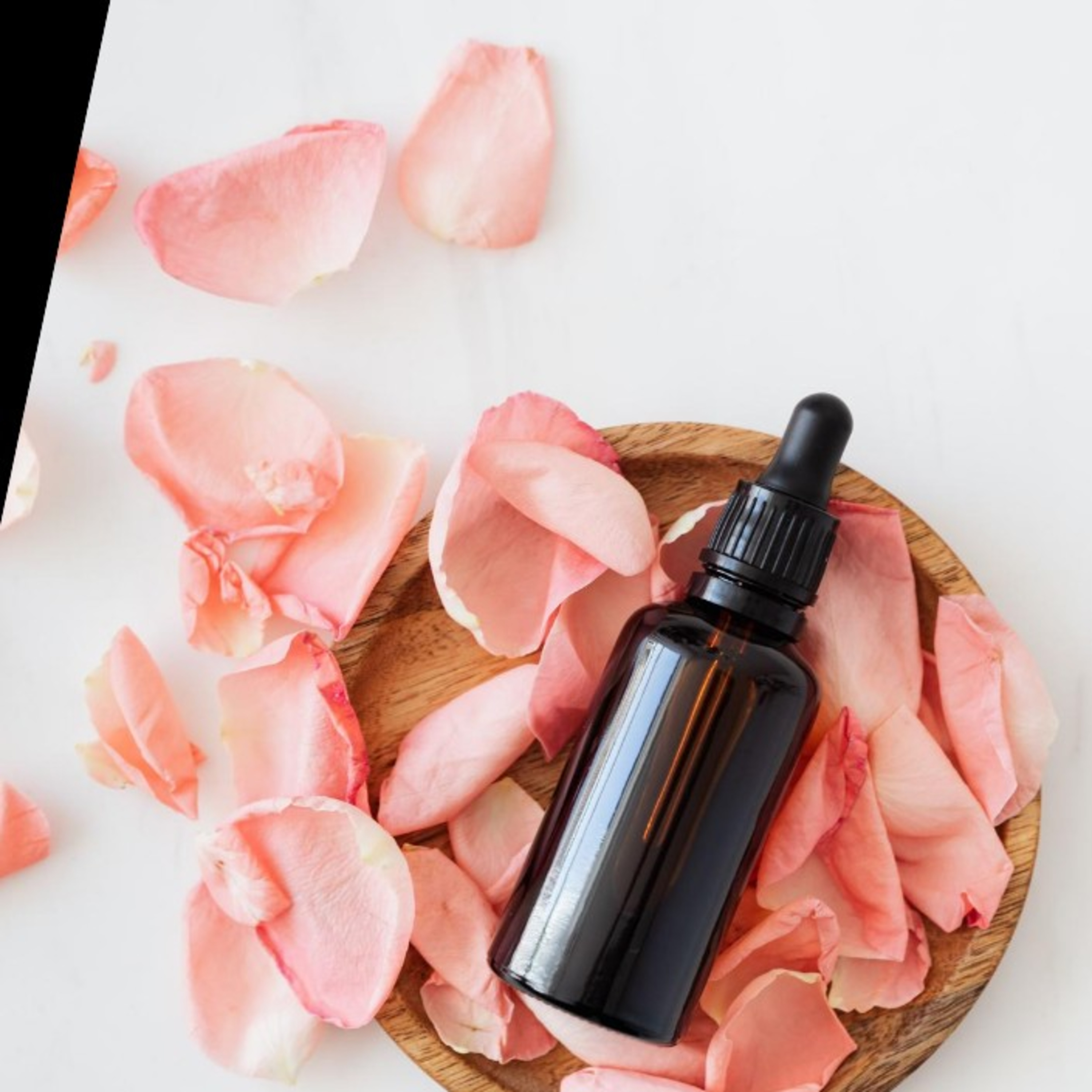 Conheça Aromas e Matérias-Primas Da Cacá