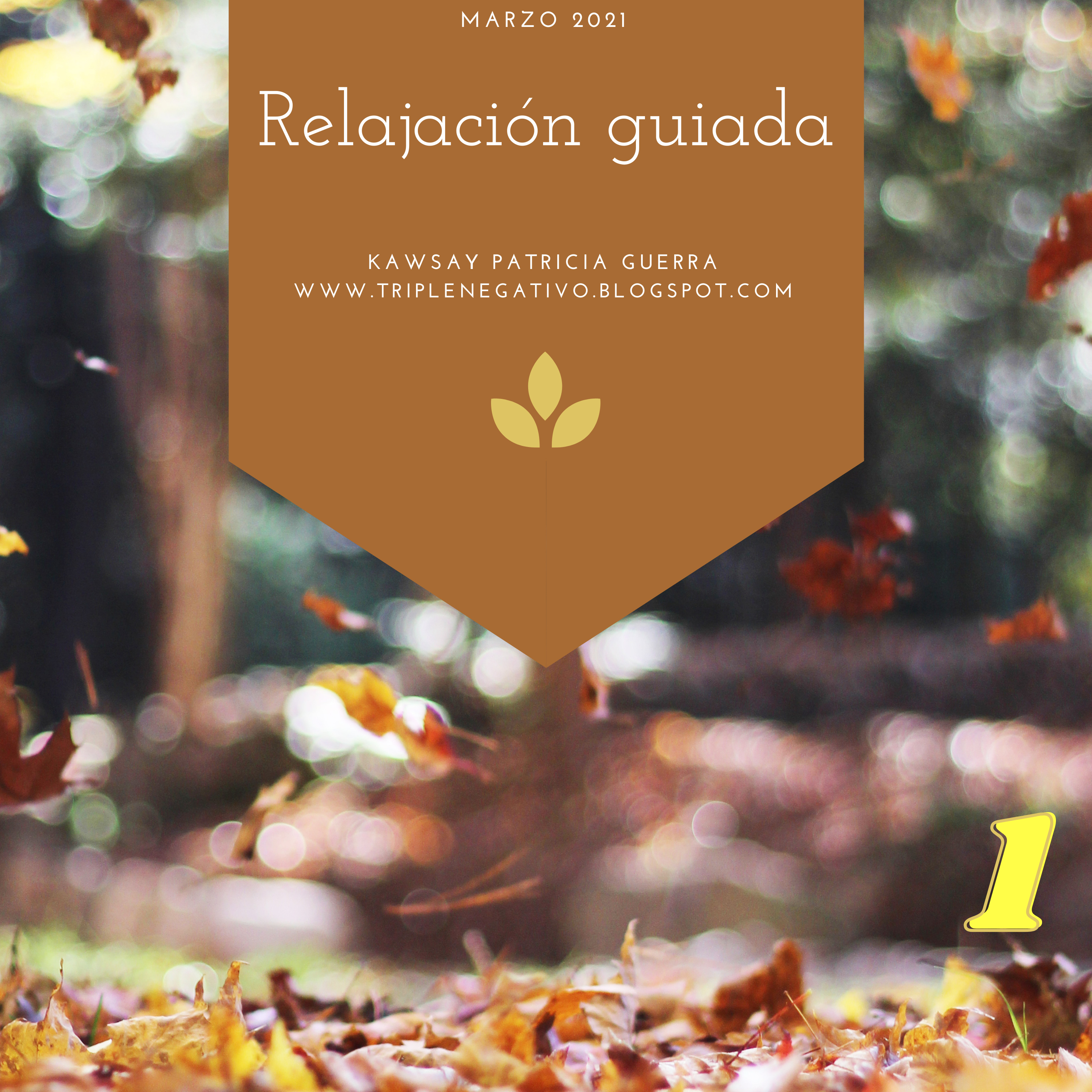 Relajación guiada episode artwork