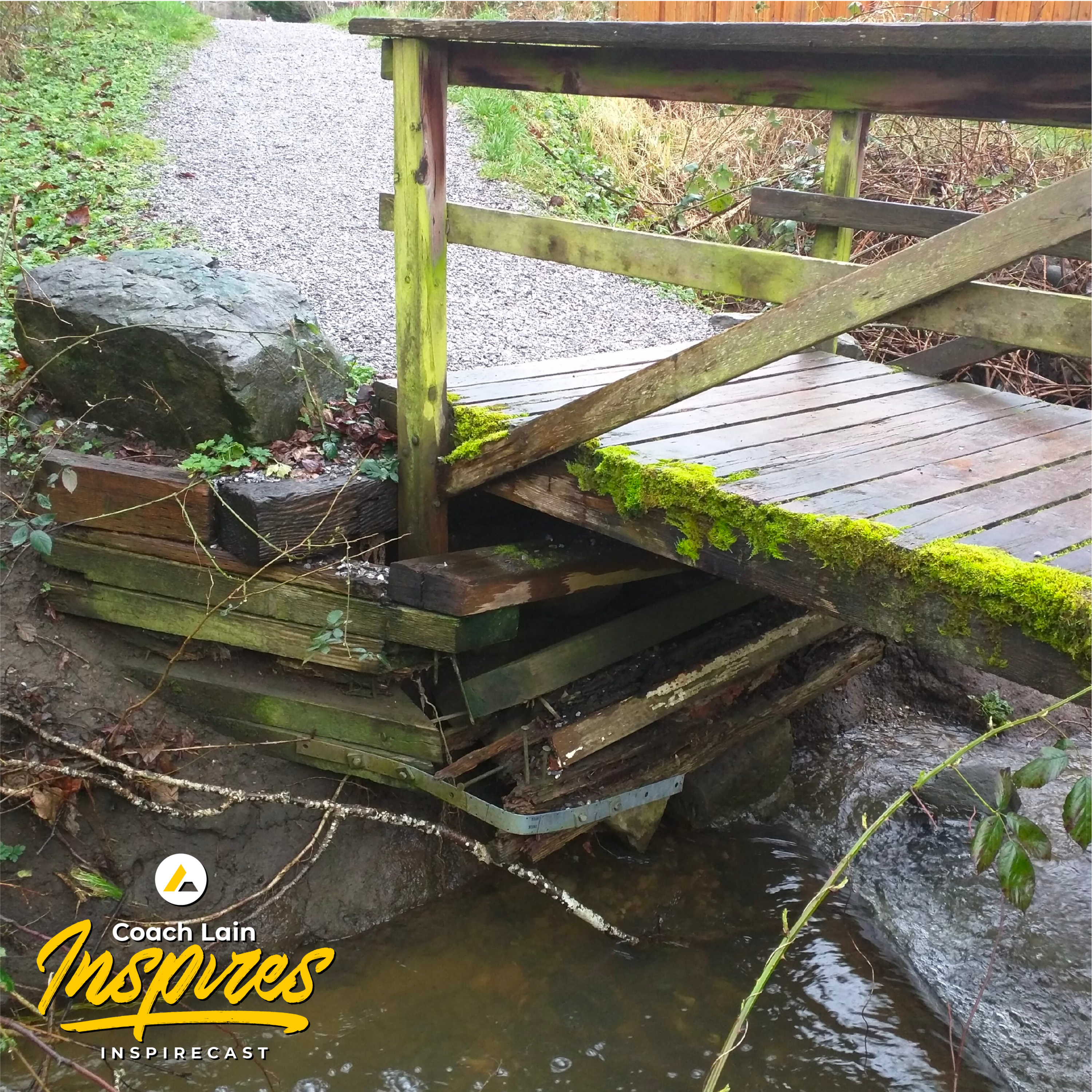 Bridges Can't Burn When They Fail