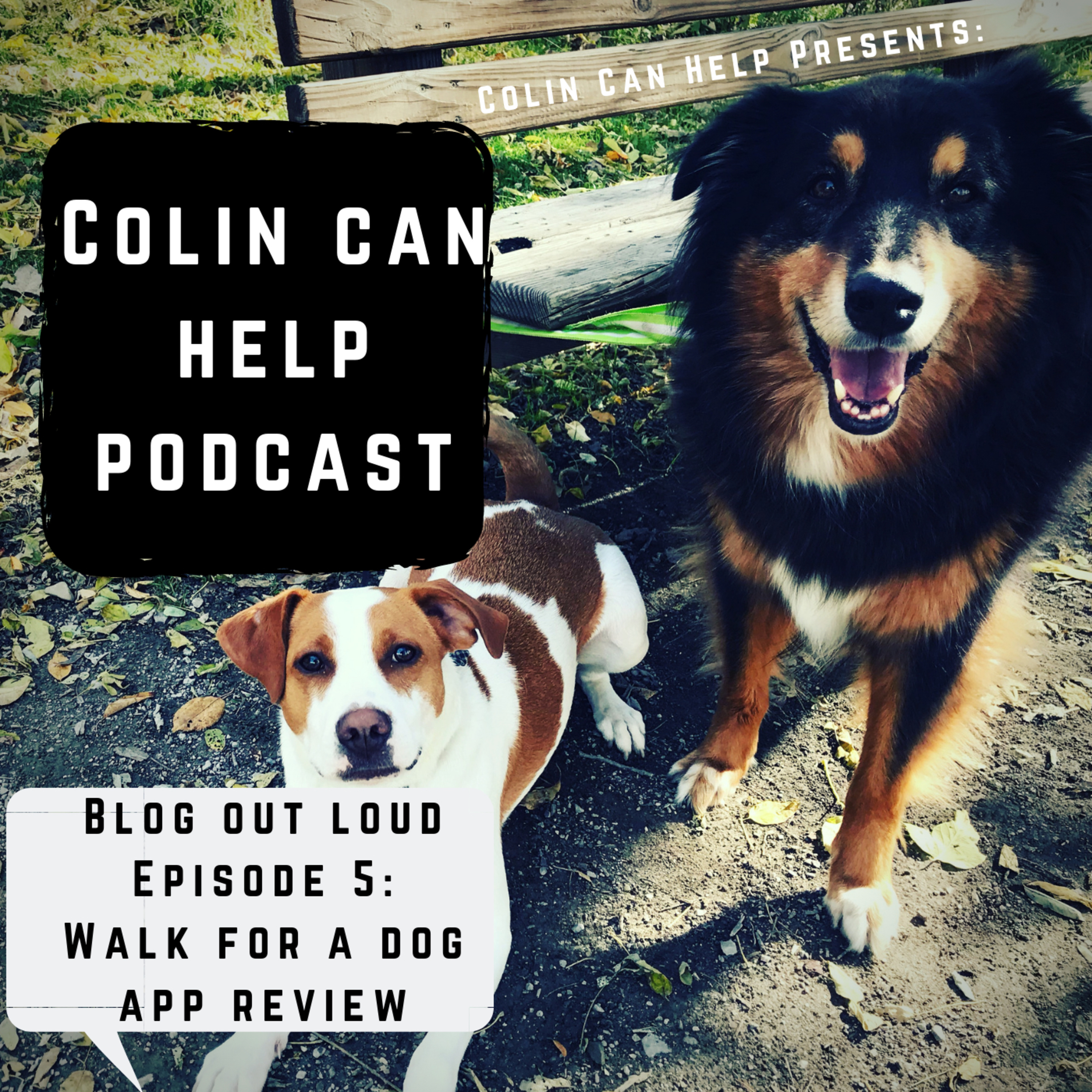 Colin\'s Conversations