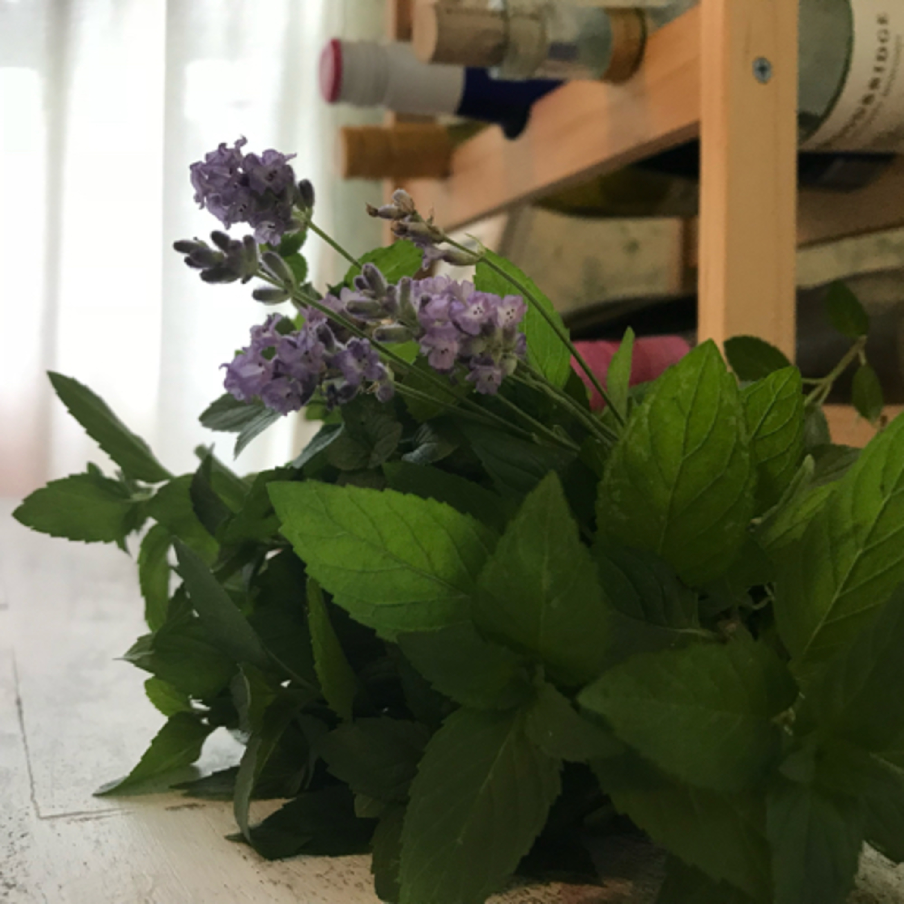 Herbalism (Encore) Ep.09 episode artwork