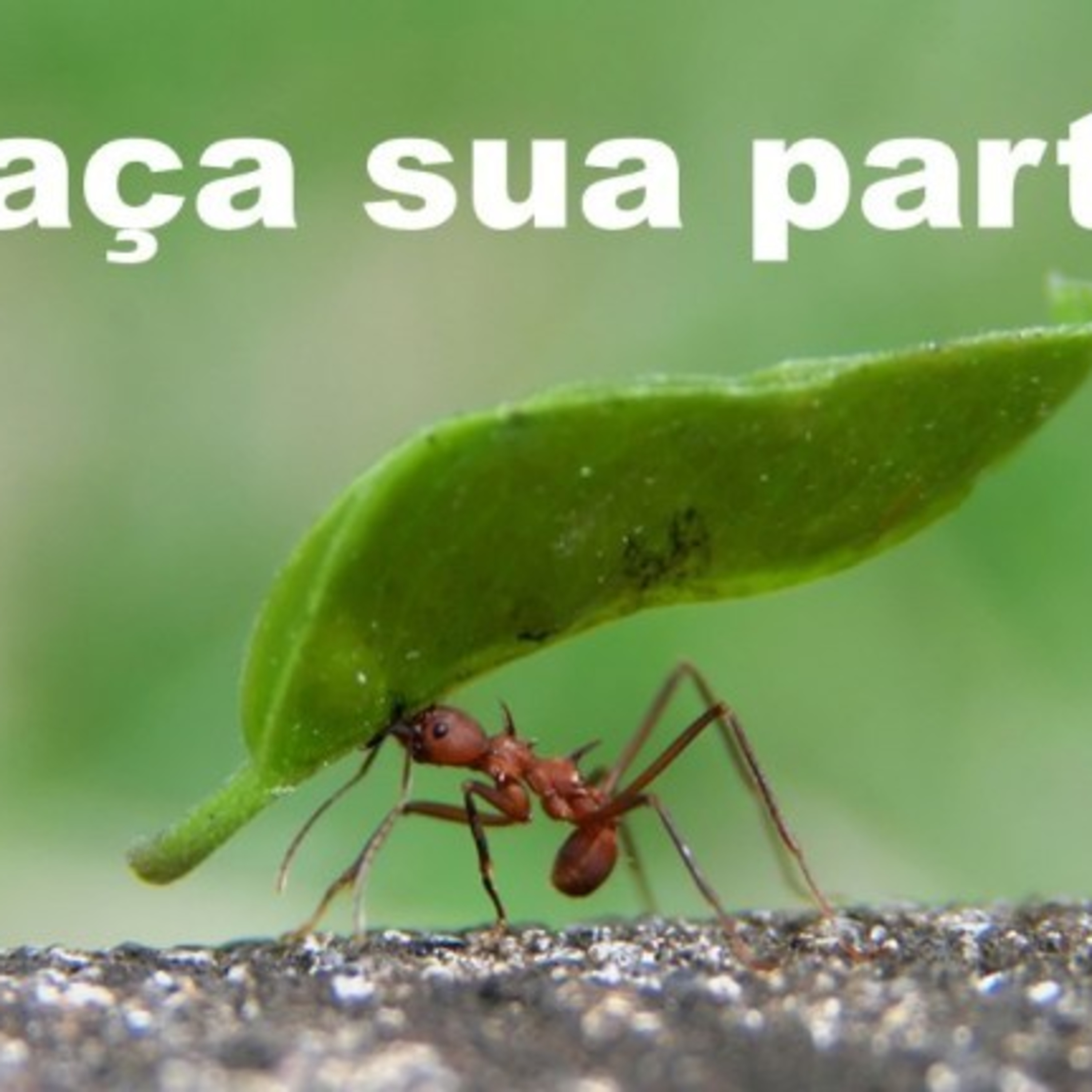PALAVRAS DE AMOR