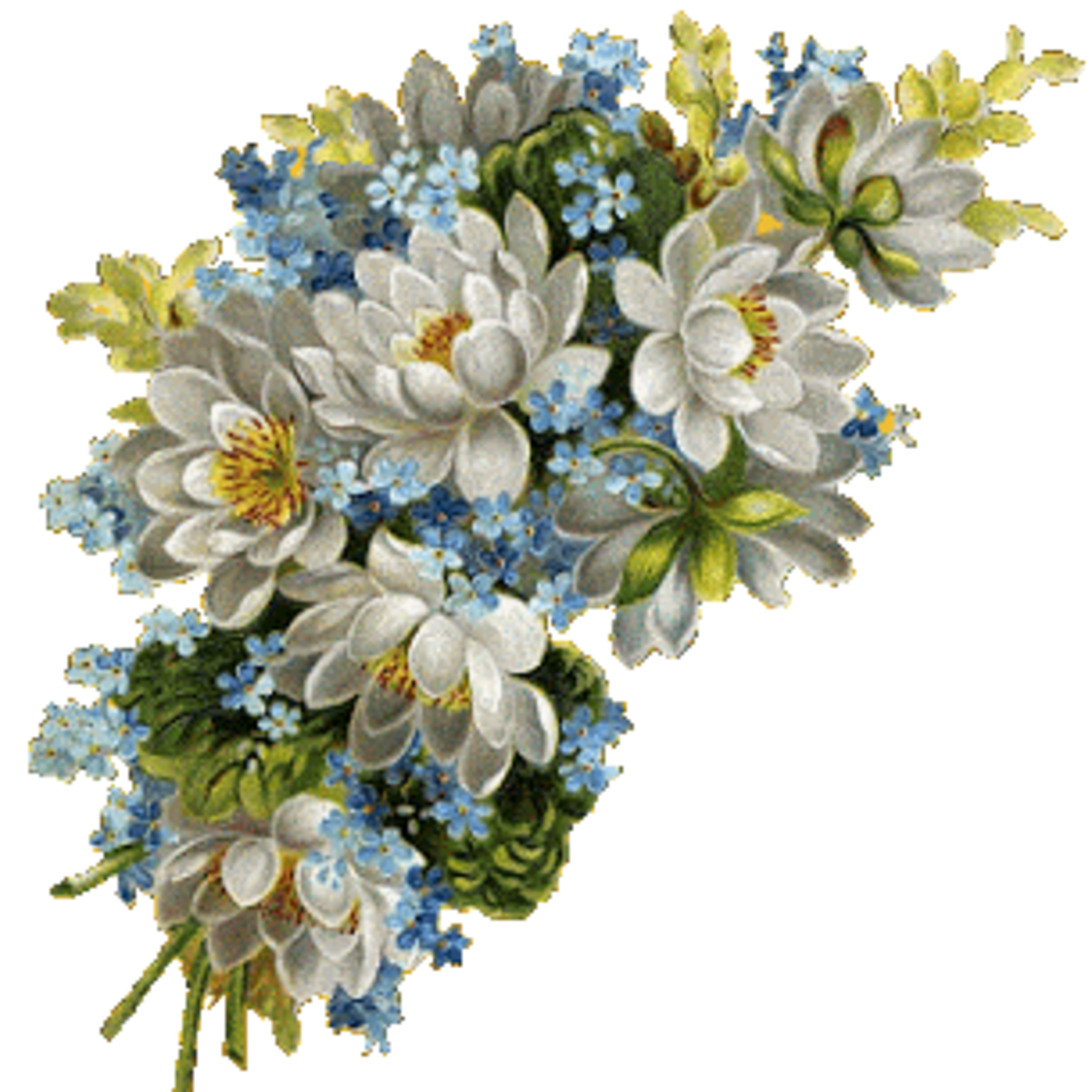 PALAVRAS DE AMOR