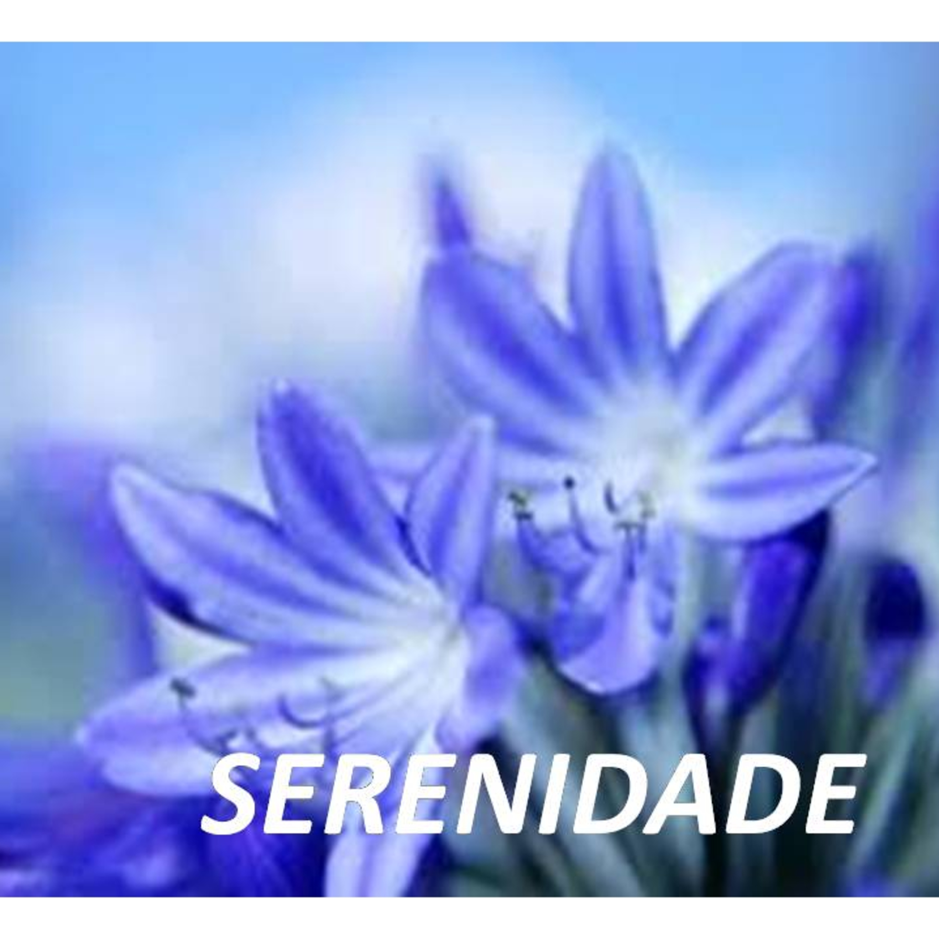 PALAVRAS DE AMOR